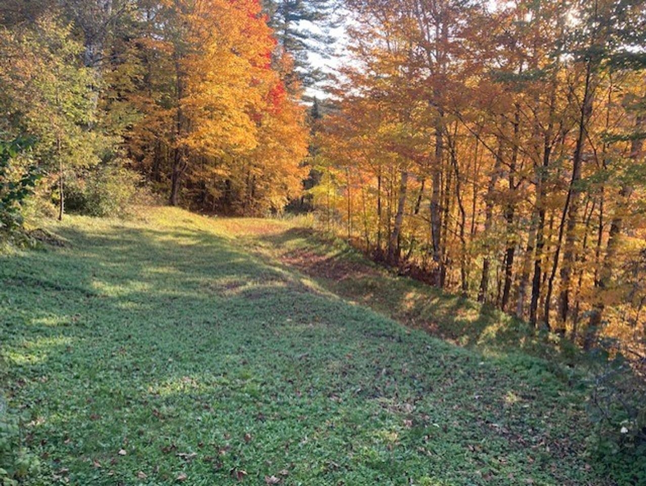 8913 County Road Property Photo 40