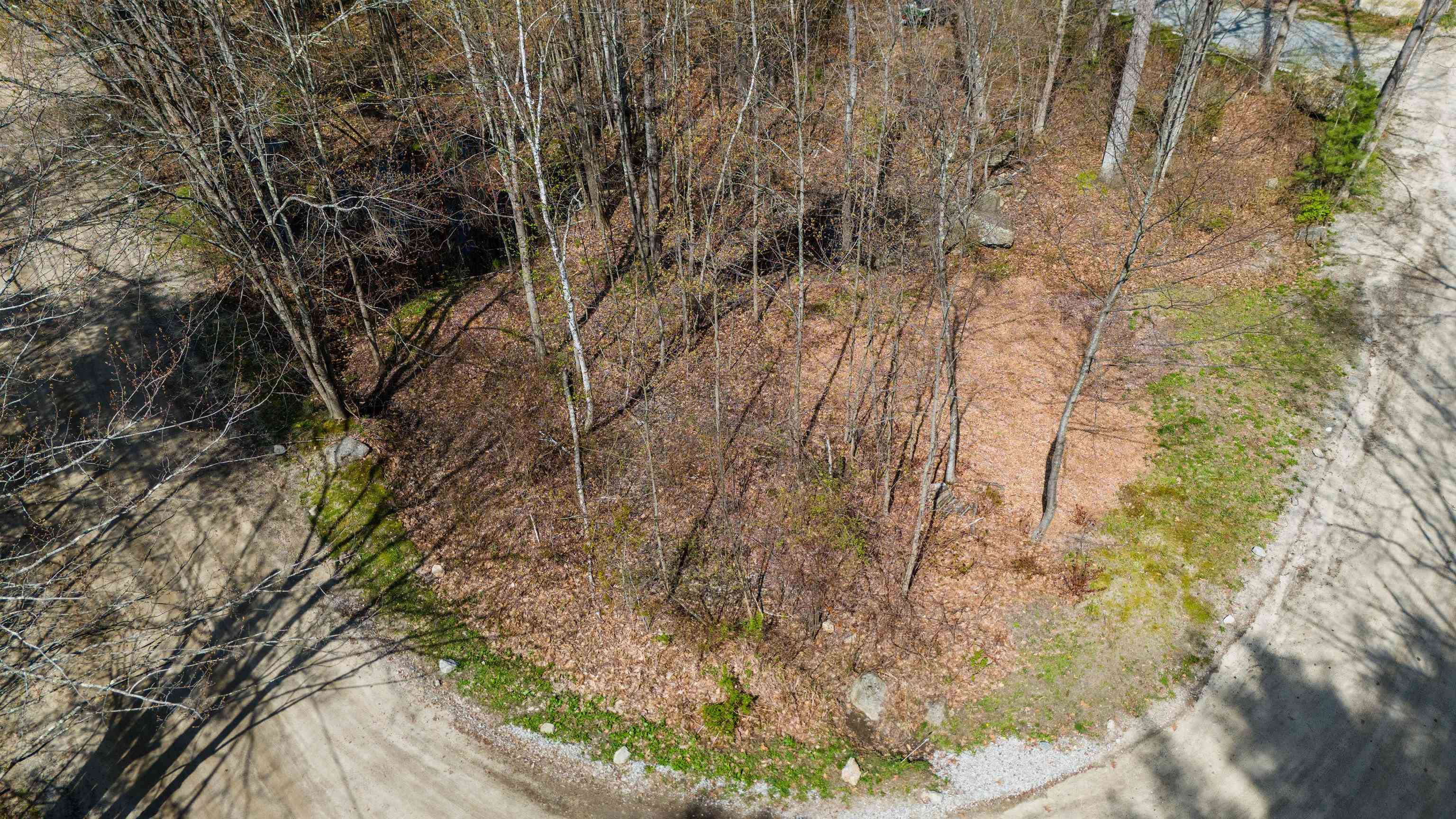 Turtle Bridge Crossing Property Photo 1