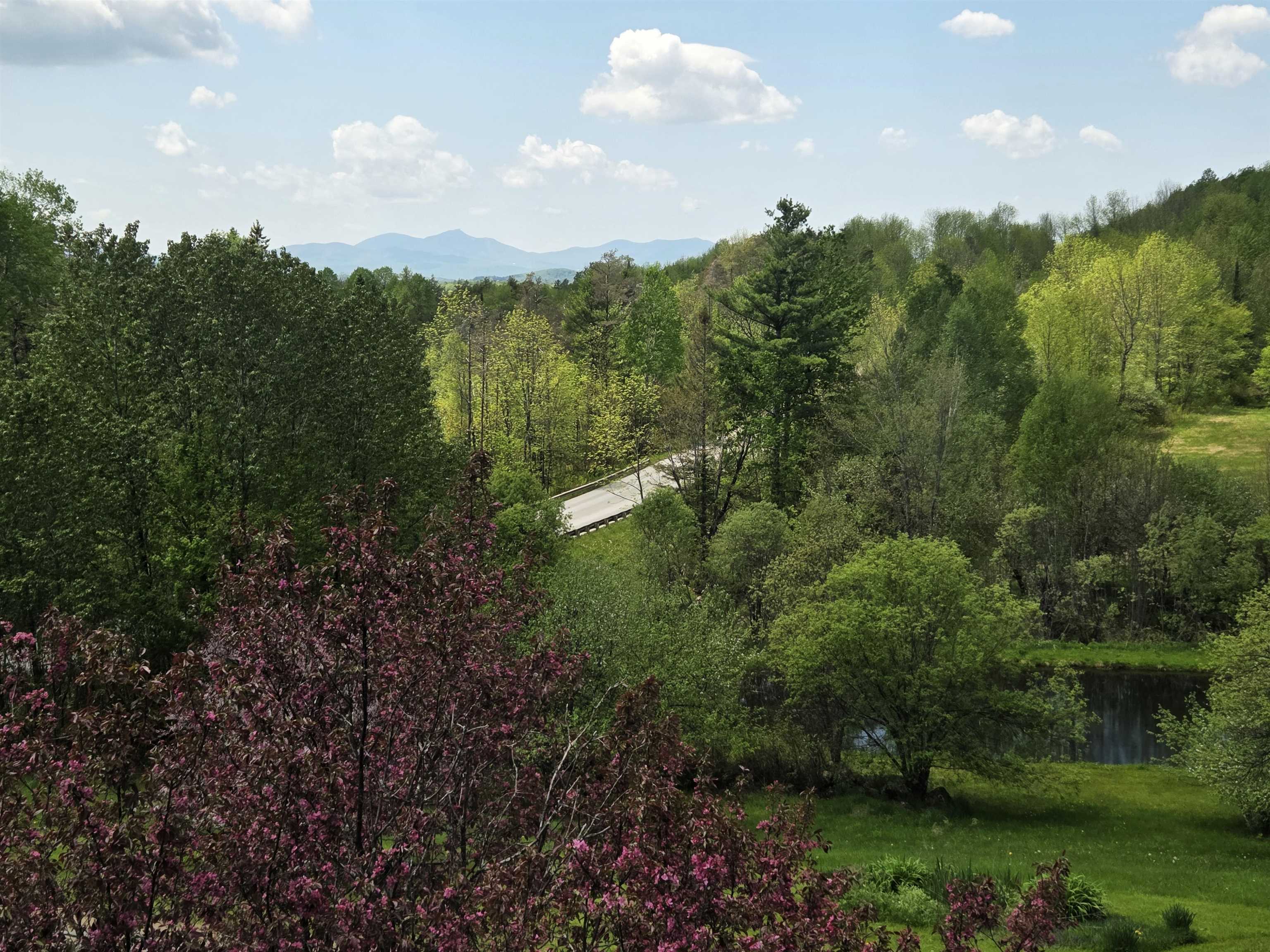 62 Schuler Road Property Photo 14