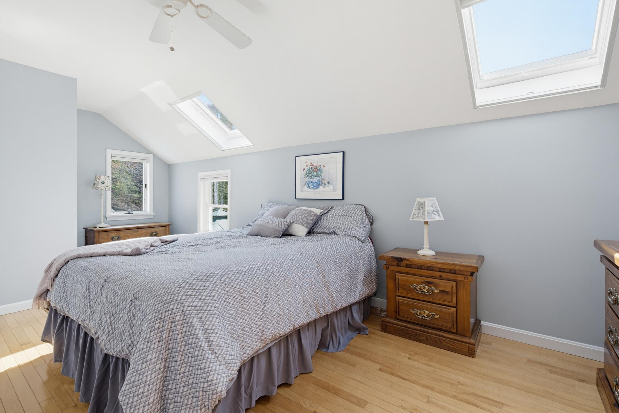 17 Dudley Road Property Photo 26