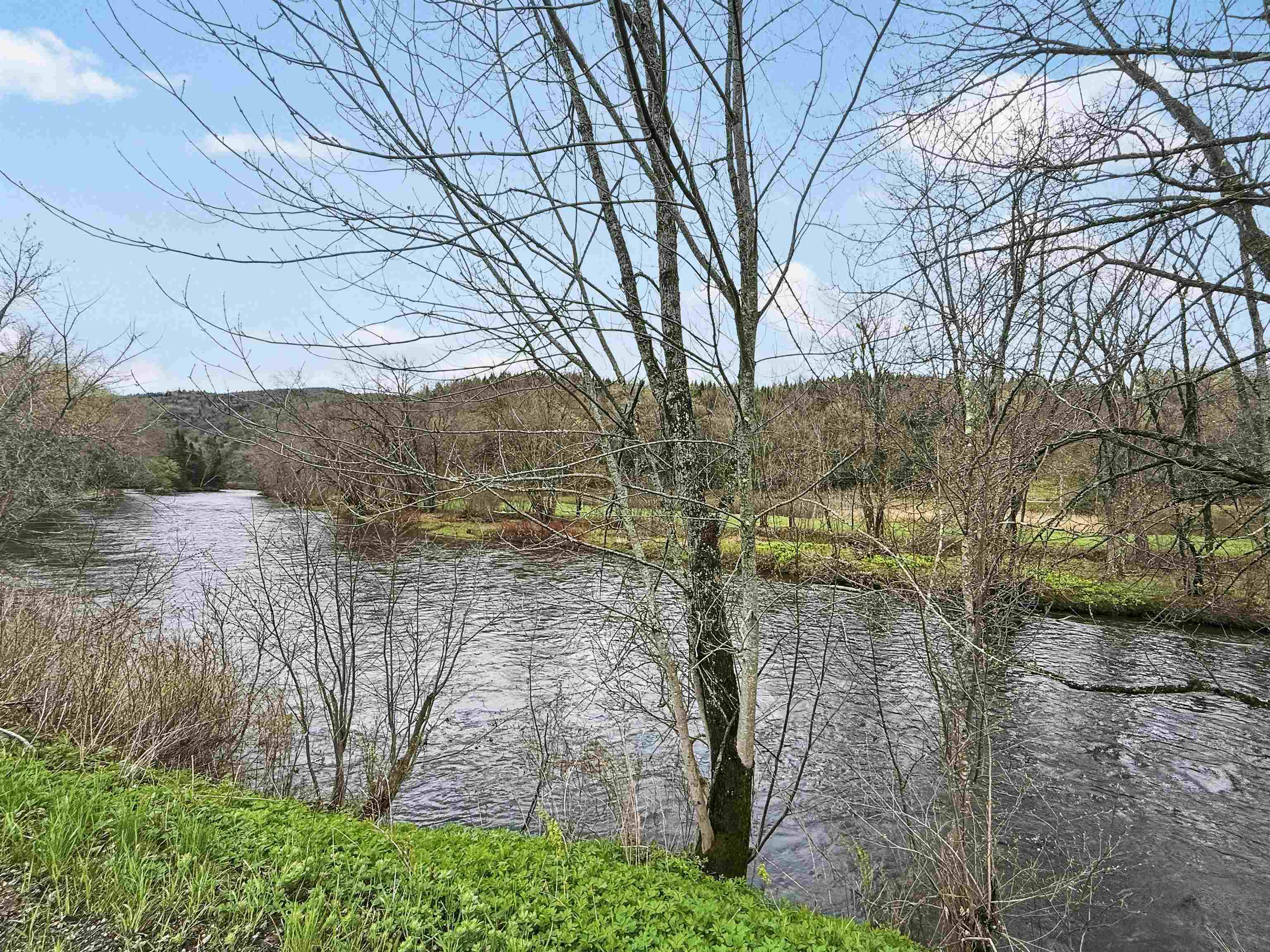 347 River Road Property Photo 26