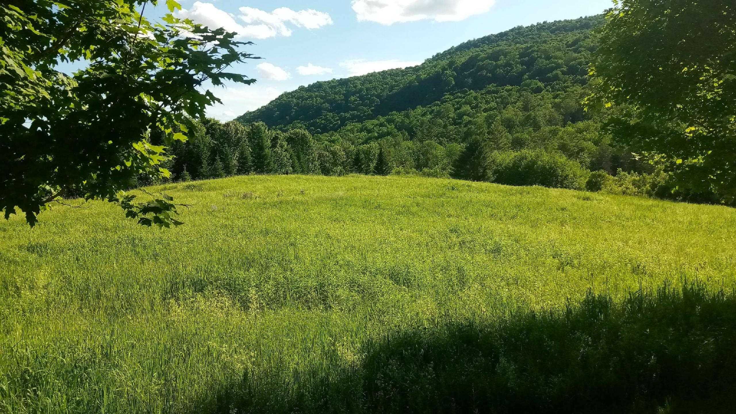 Lot B Windmill Lane Property Photo 1