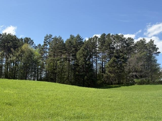 1465 Darling Hill Road Property Photo 2