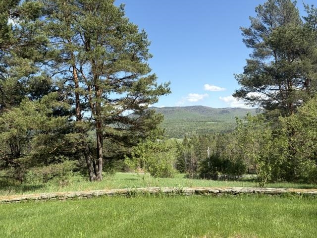 1465 Darling Hill Road Property Photo 4