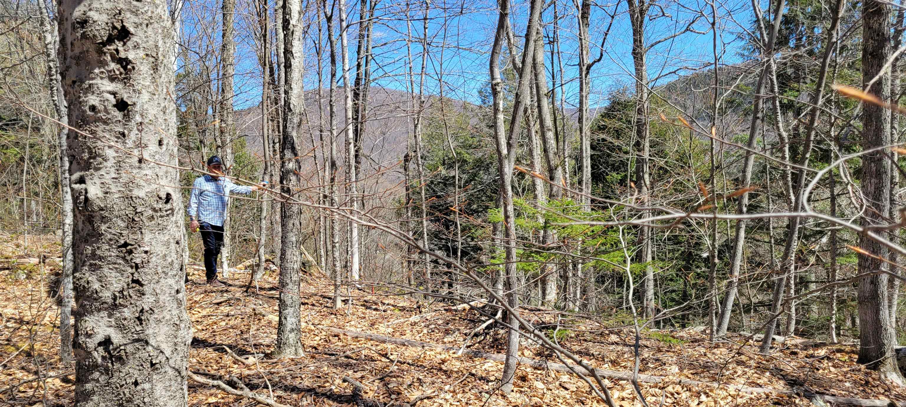 7 Spring Hill Road Property Photo 2