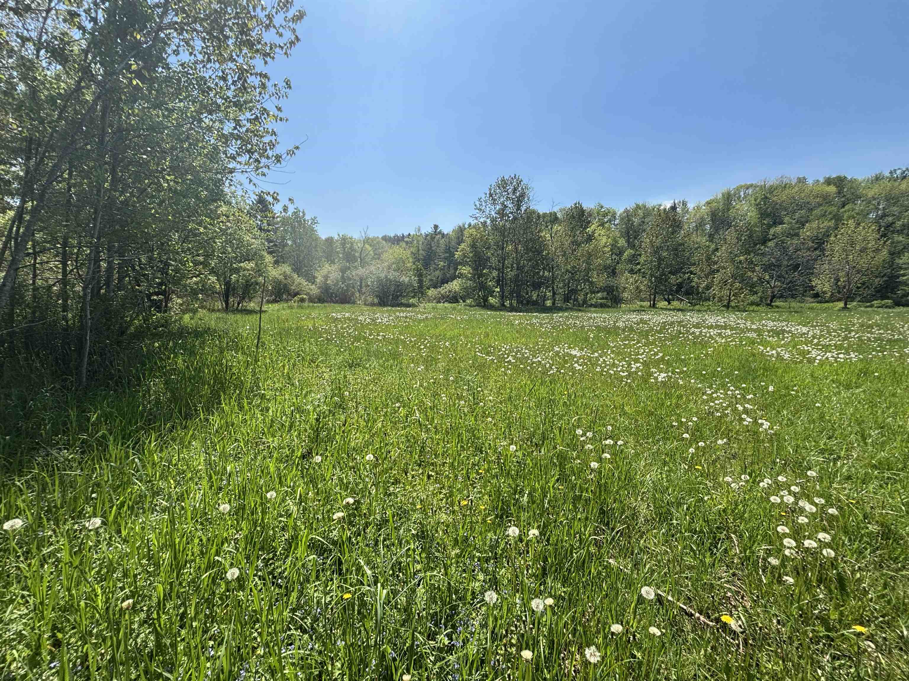 0 Harrel Street Property Photo 4