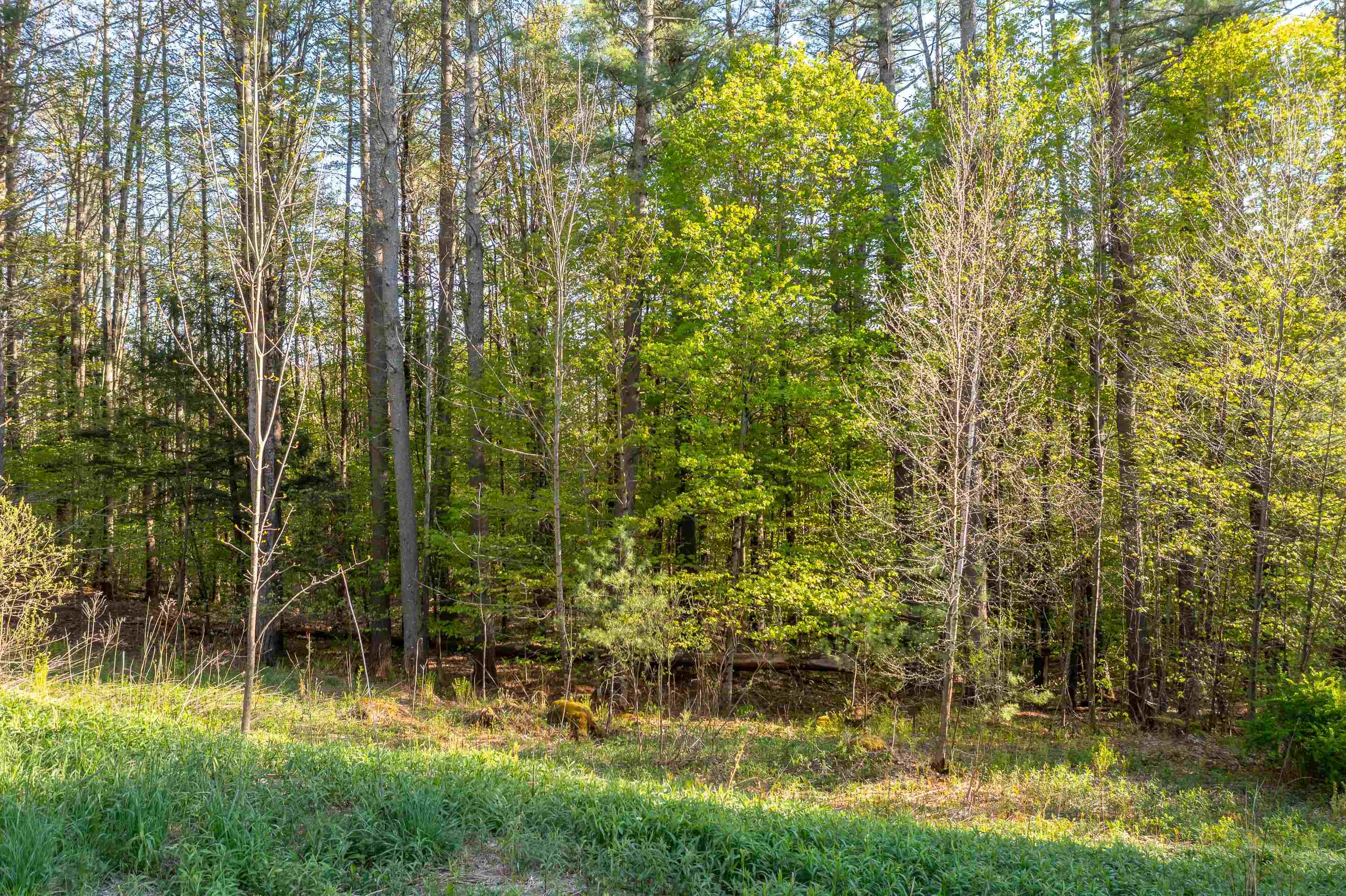 Lot 30 Cedar Drive Property Photo 7