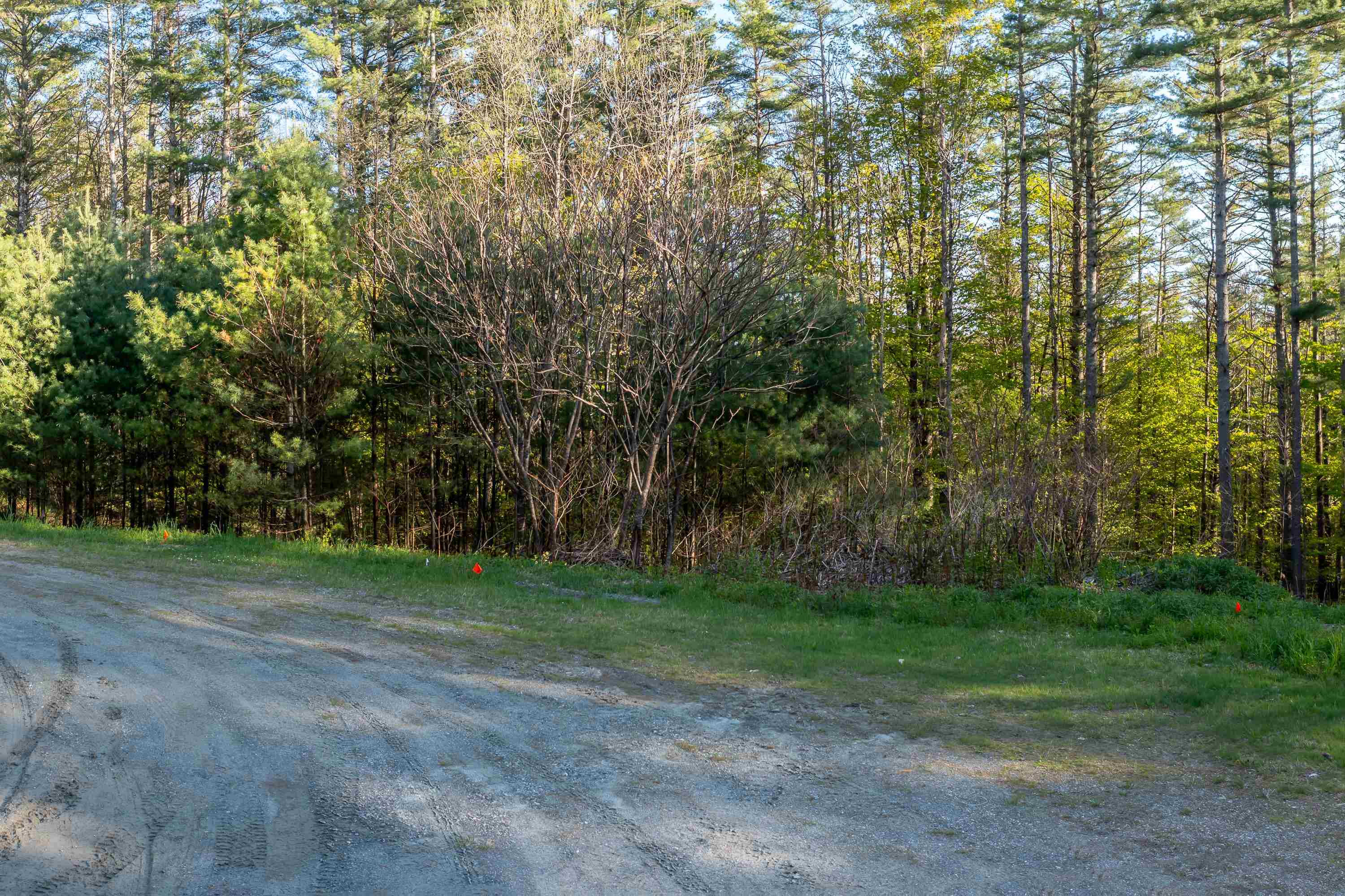 Lot 30 Cedar Drive Property Photo 9