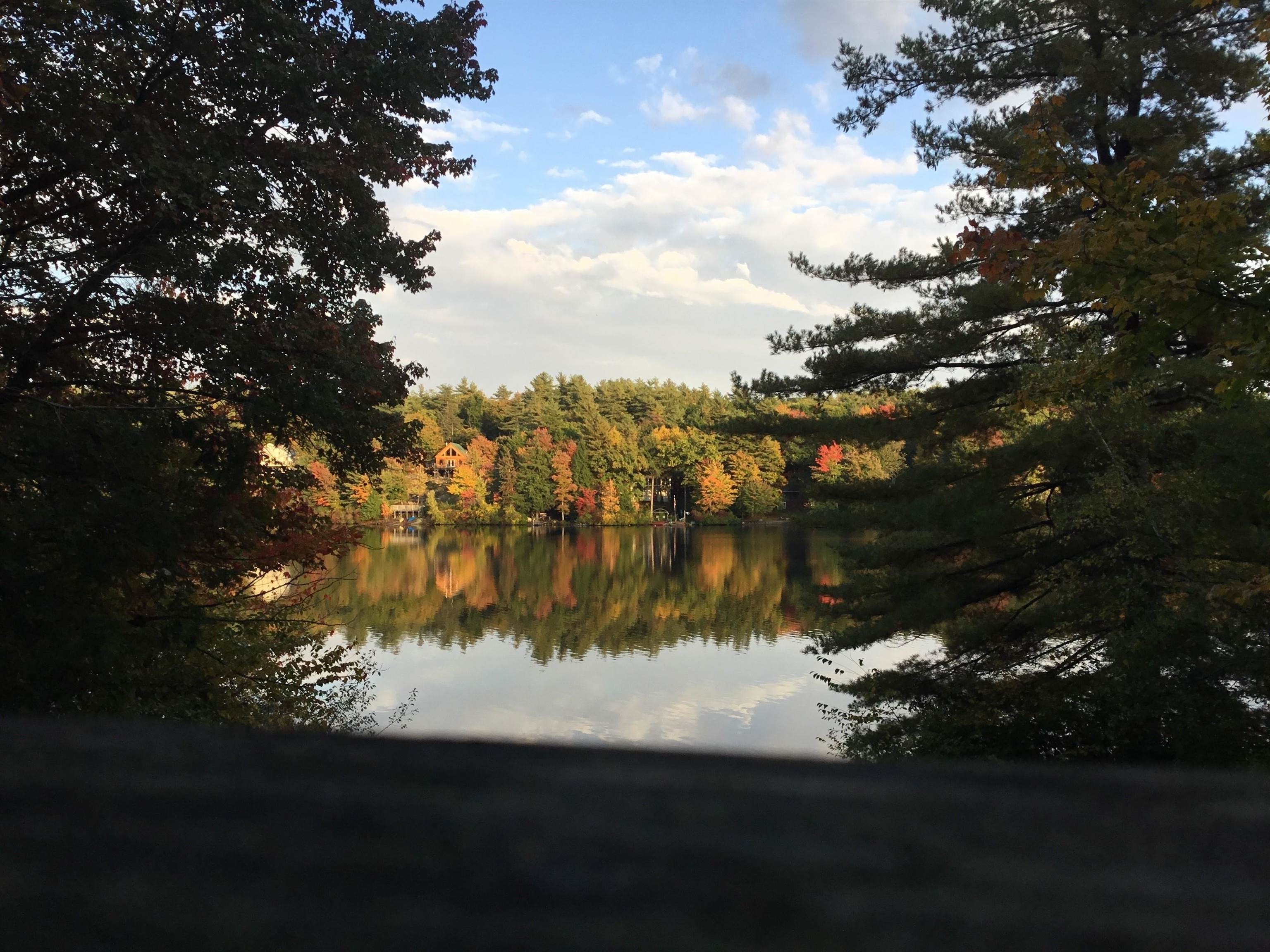 176 Upper Pratt Pond Road Property Photo 49