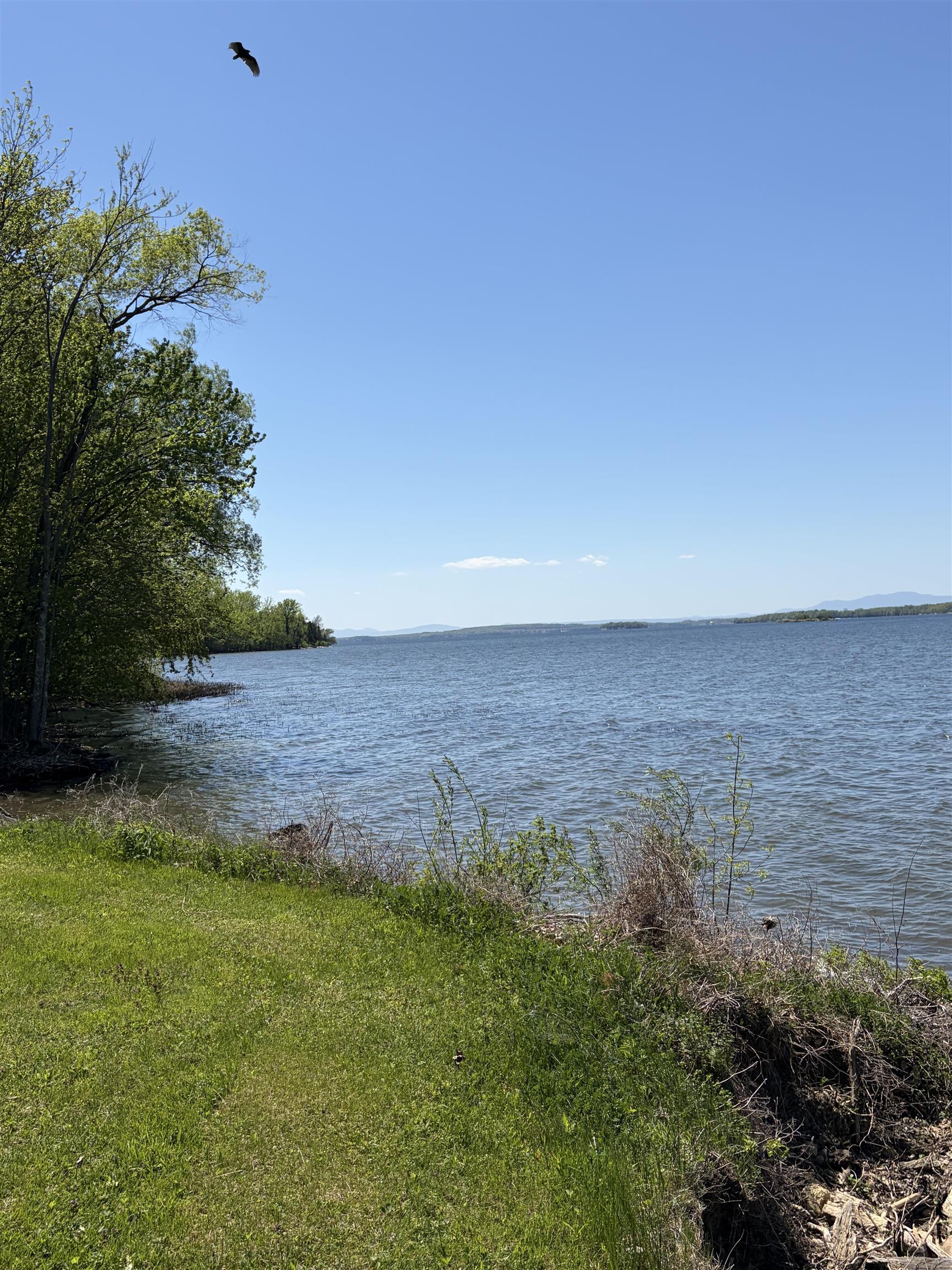 5659 Georgia Shore Lot 4-2 Road Property Photo 3