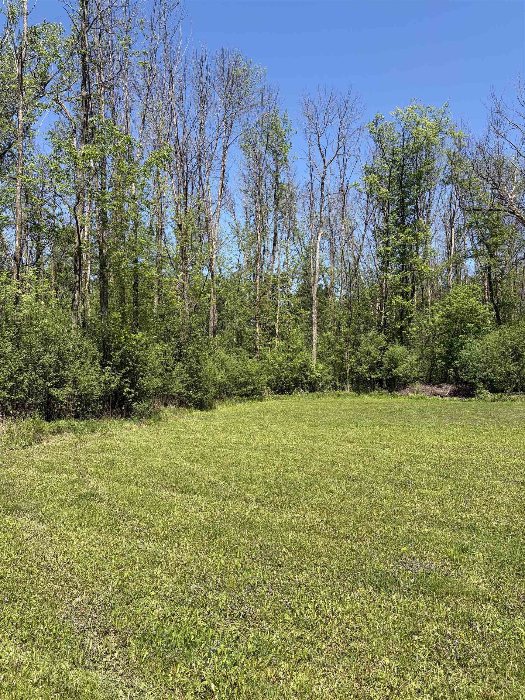 5659 Georgia Shore Lot 4-2 Road Property Photo 4