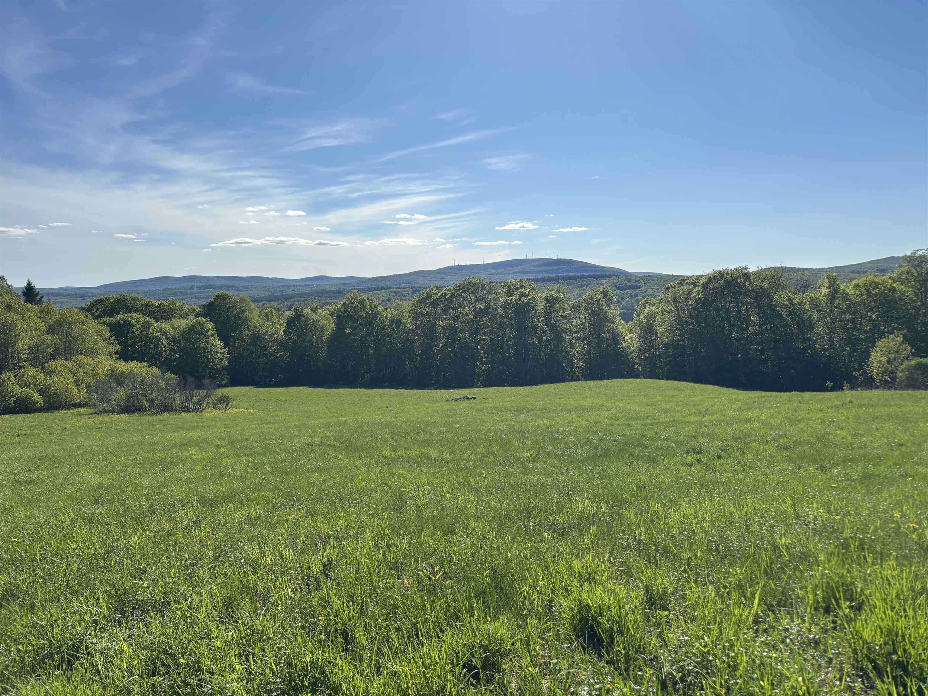 2354 East Ridge Road Property Photo 15