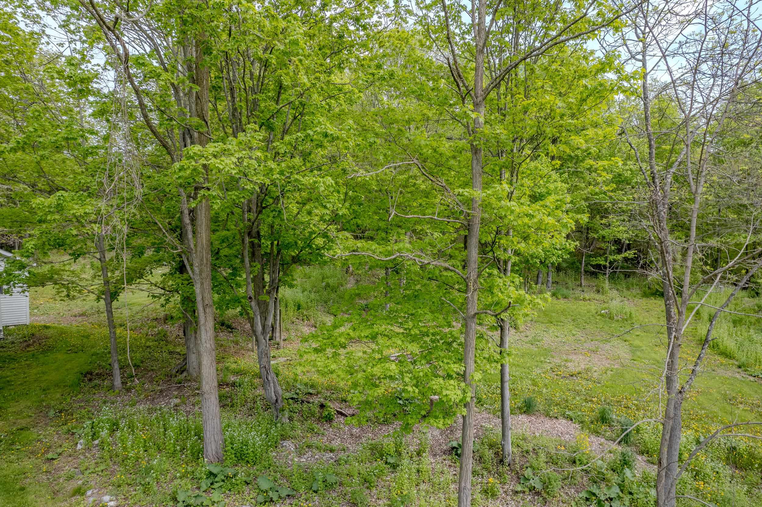 122 Main Road Property Photo 12