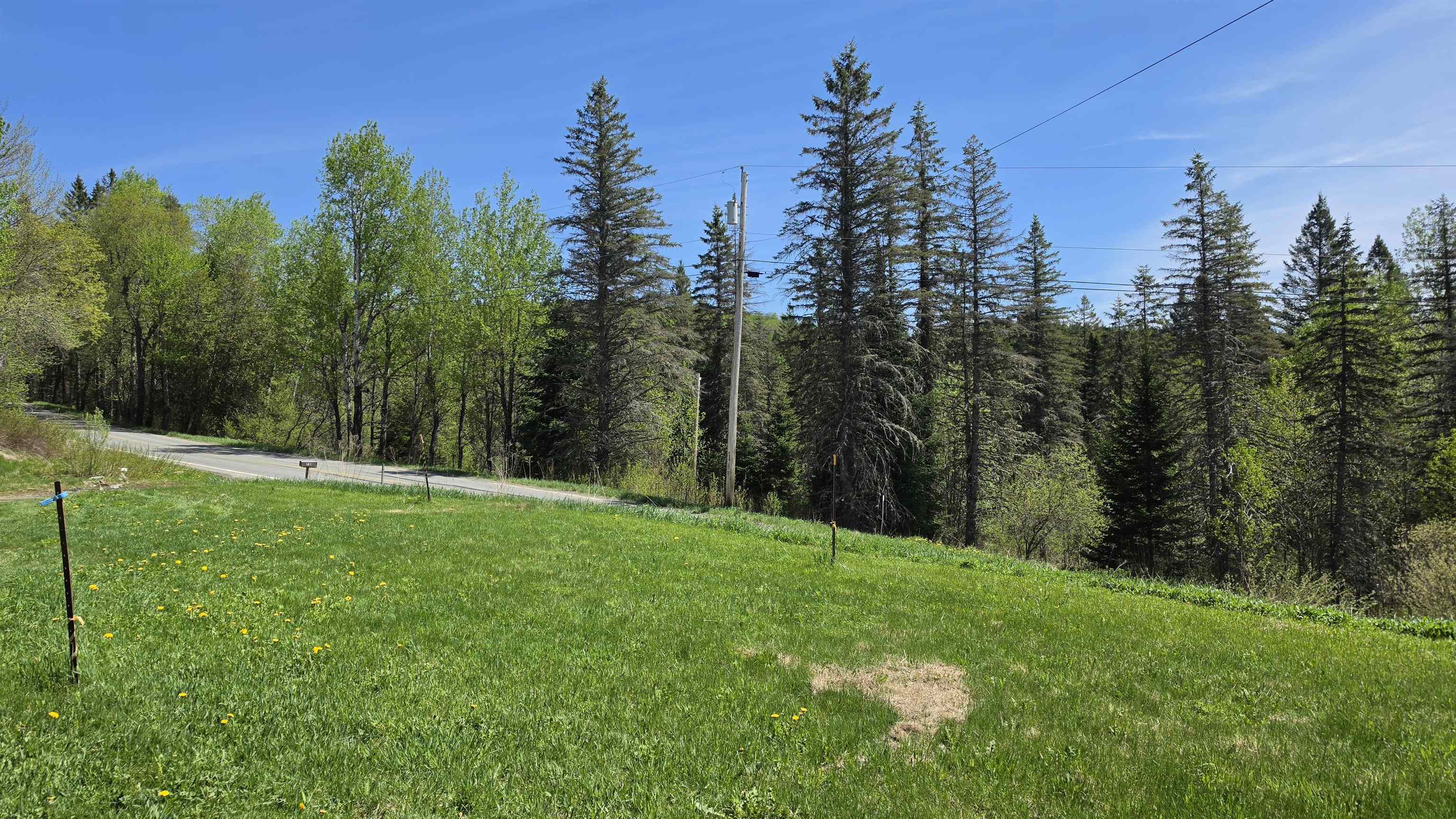 731 Hollow Road Property Photo 2