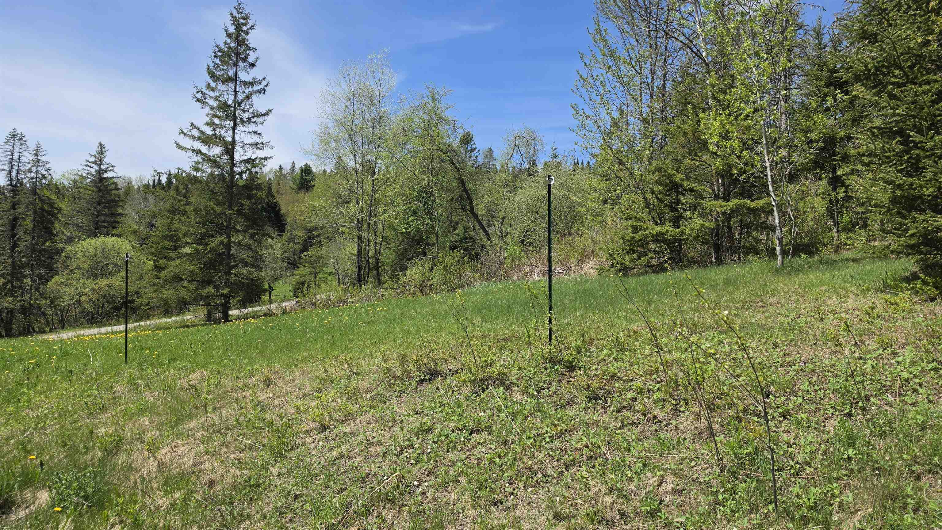 731 Hollow Road Property Photo 9