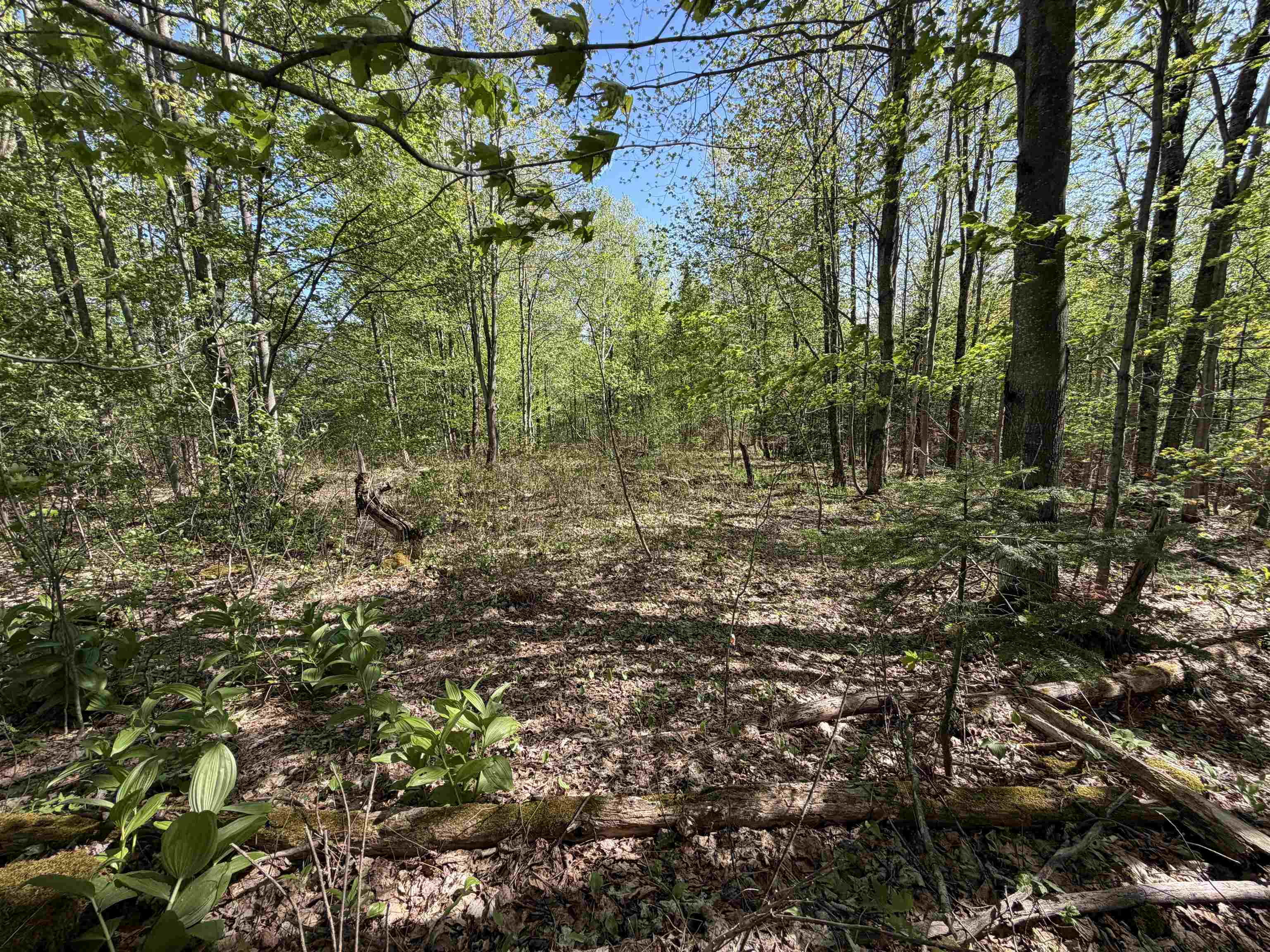 550 Petit Road Property Photo 1