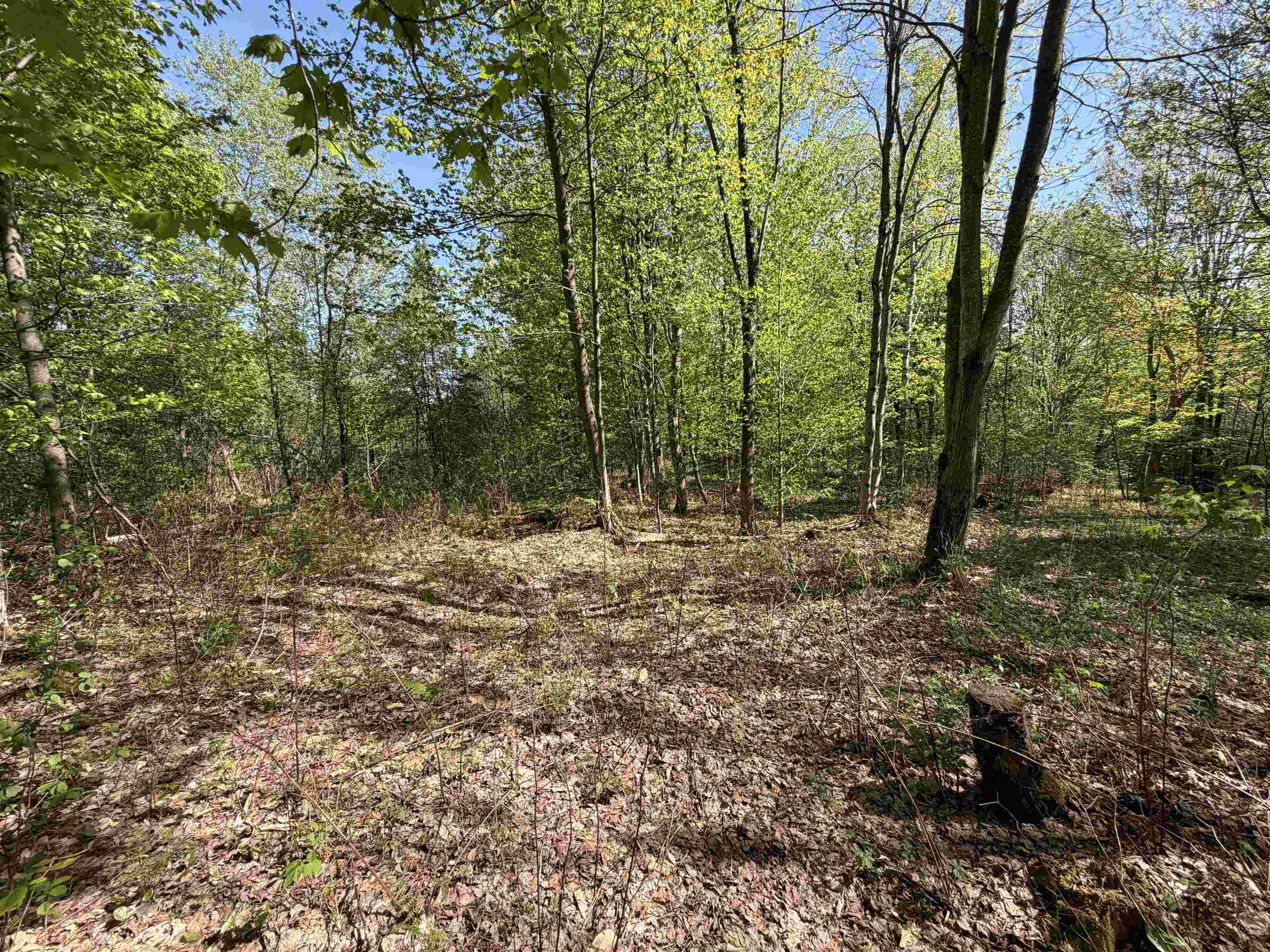550 Petit Road Property Photo 6