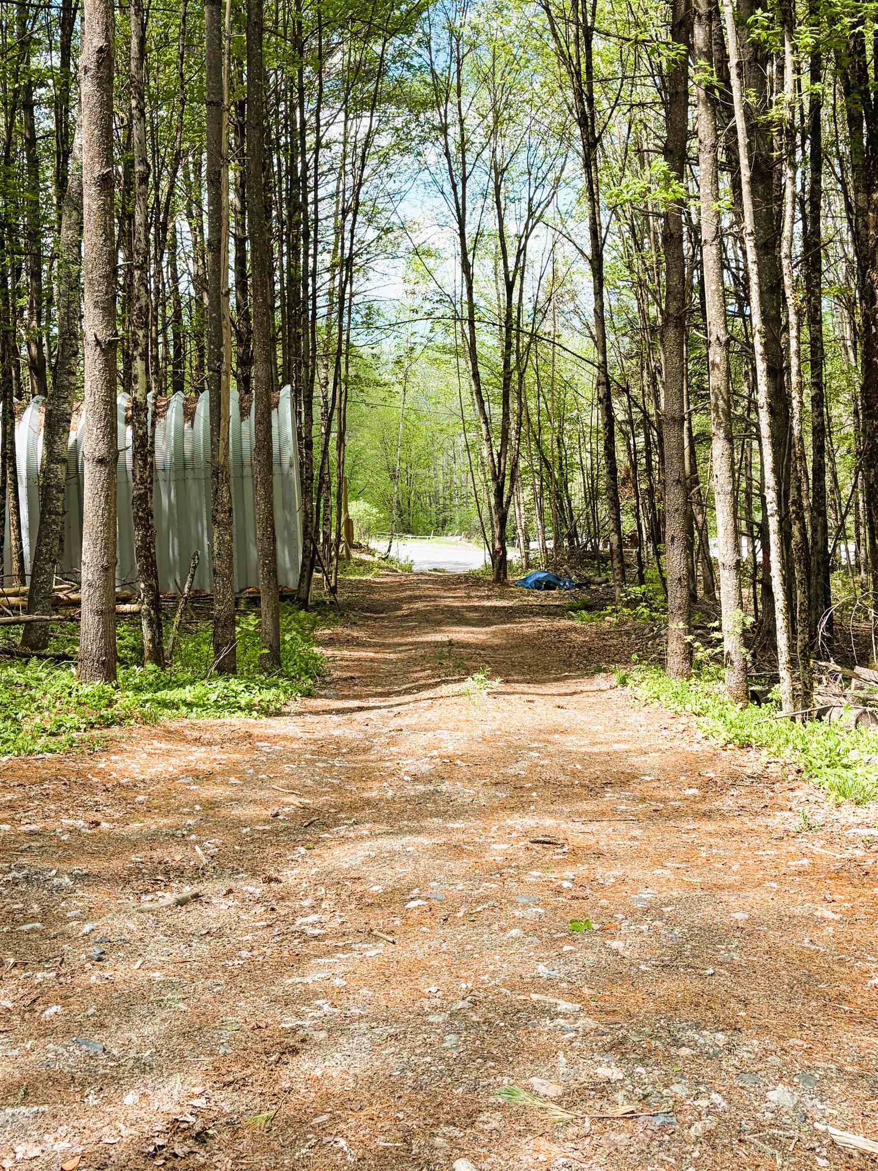 30 Dalton Road Property Photo 28