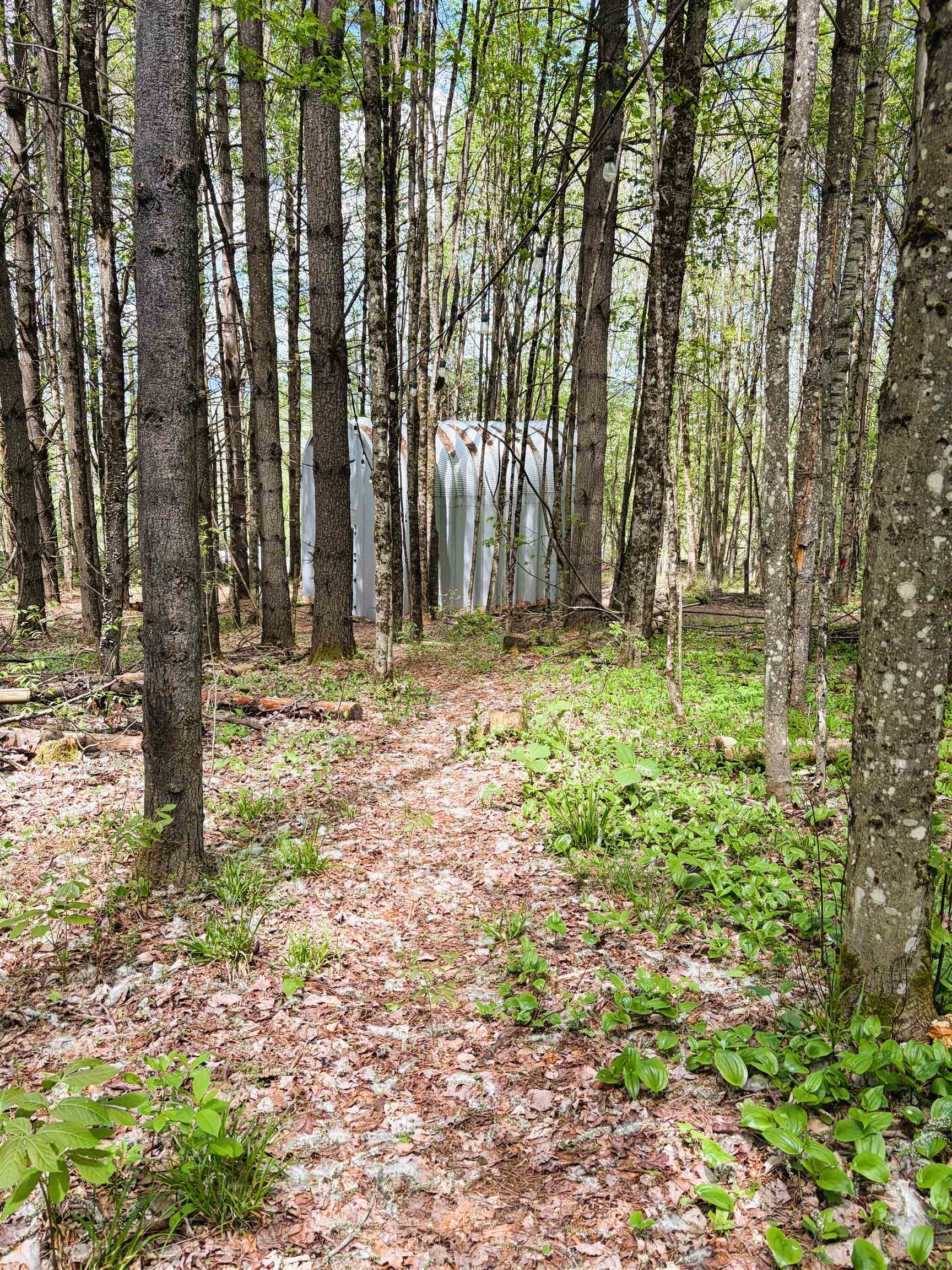 30 Dalton Road Property Photo 39