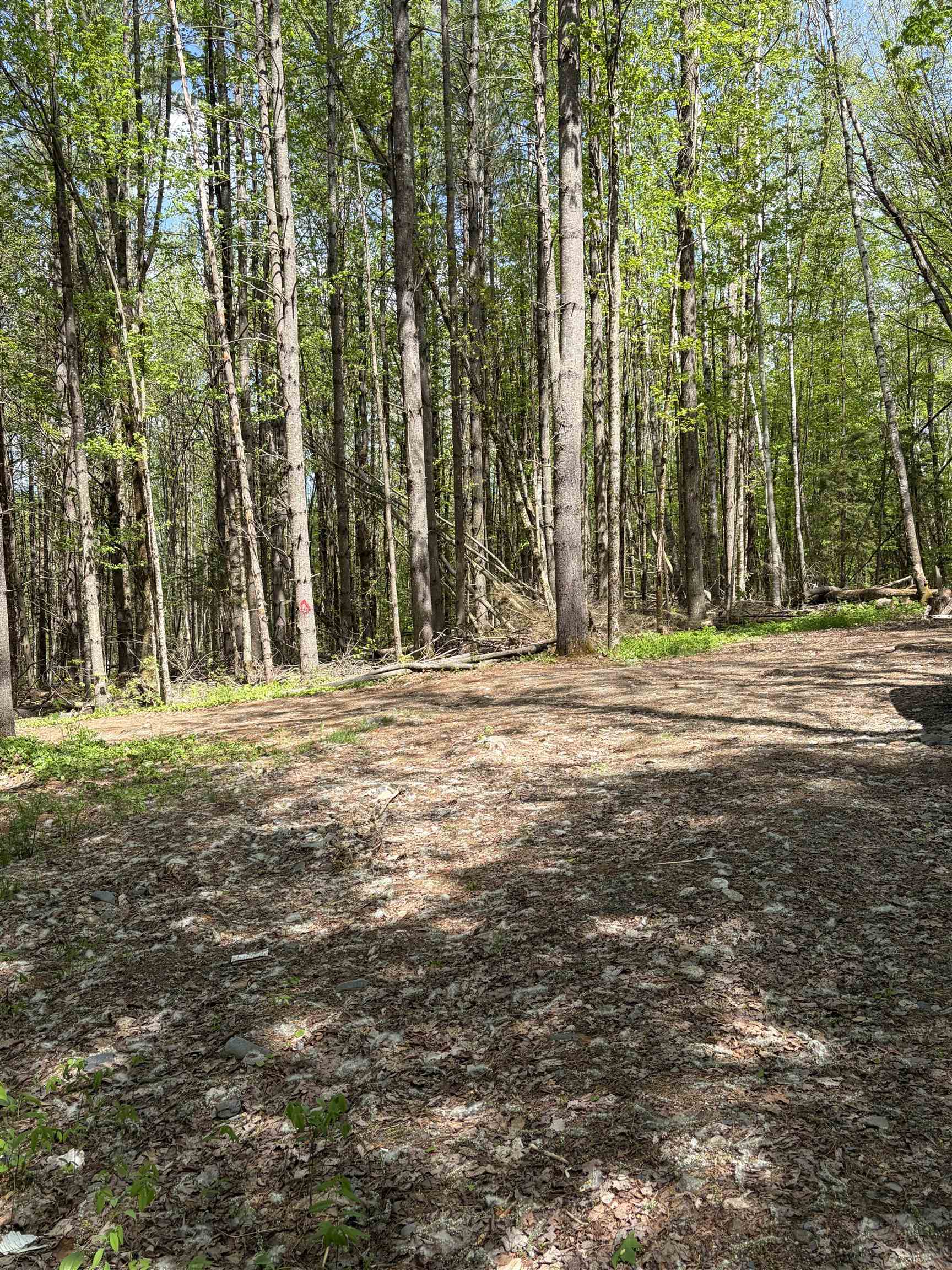 30 Dalton Road Property Photo 41