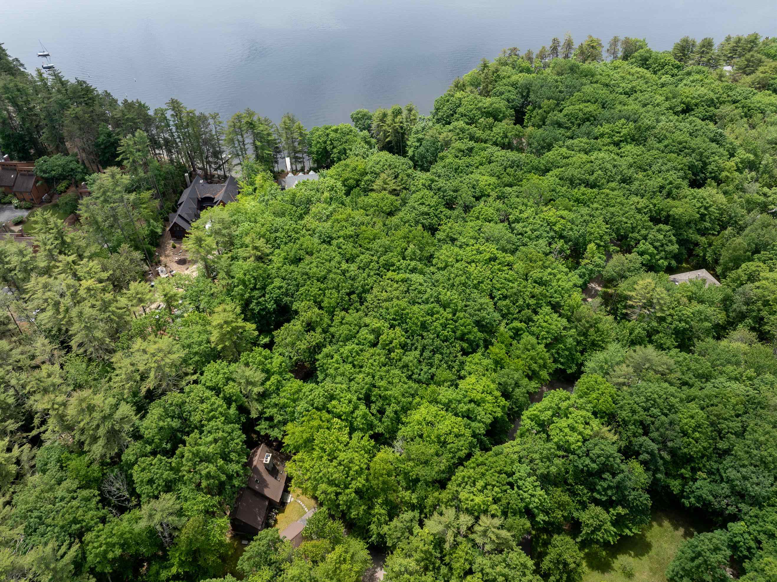 Lot 53 Senter Cove Road Property Photo 19
