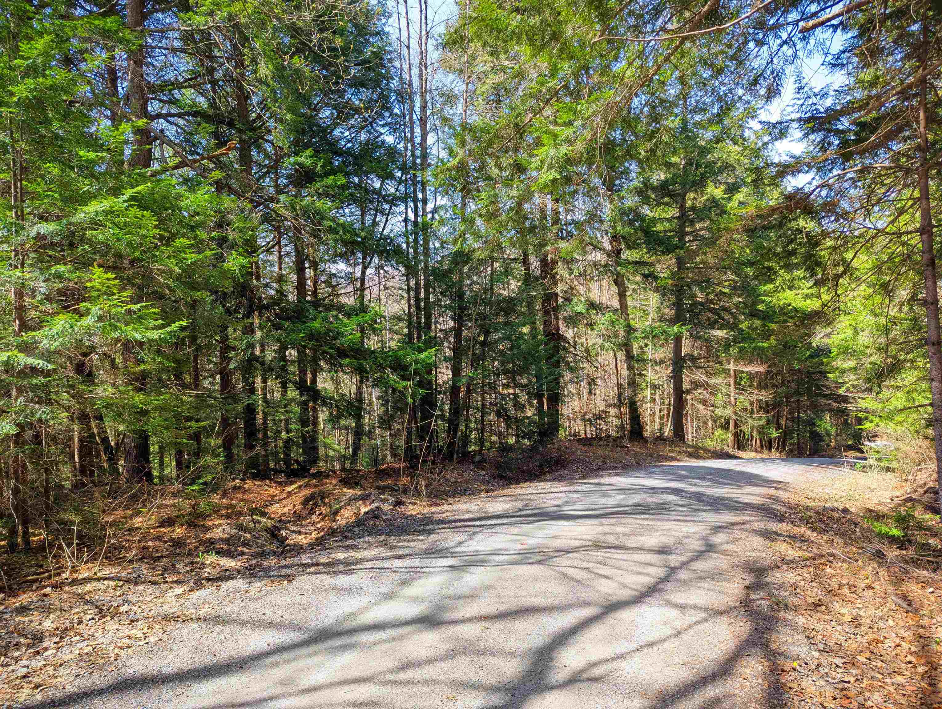 Vulture Mountain Road Property Photo 6