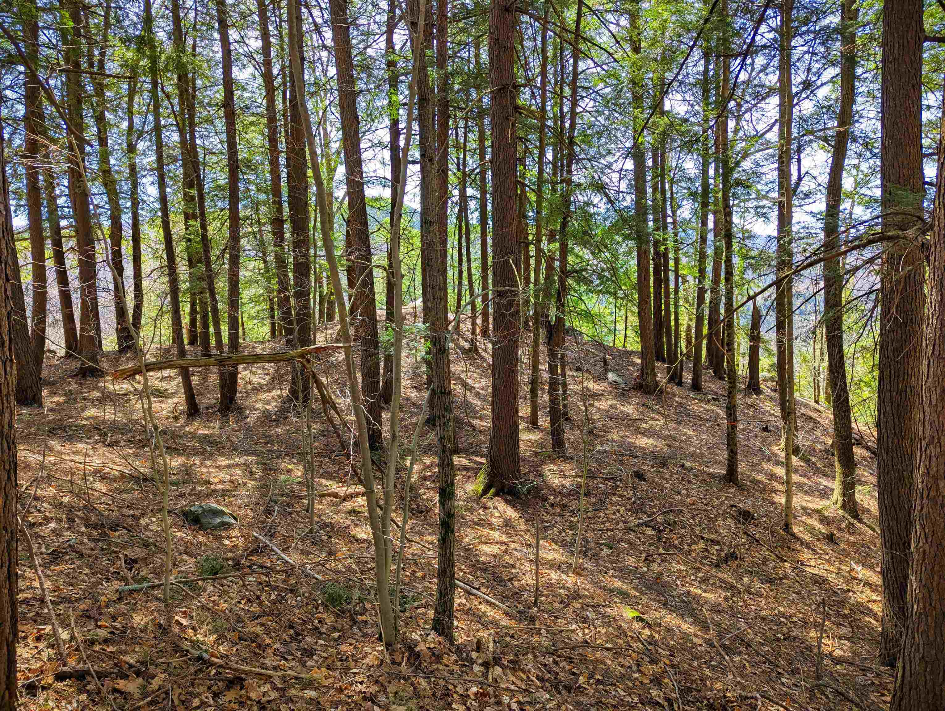 Vulture Mountain Road Property Photo 7