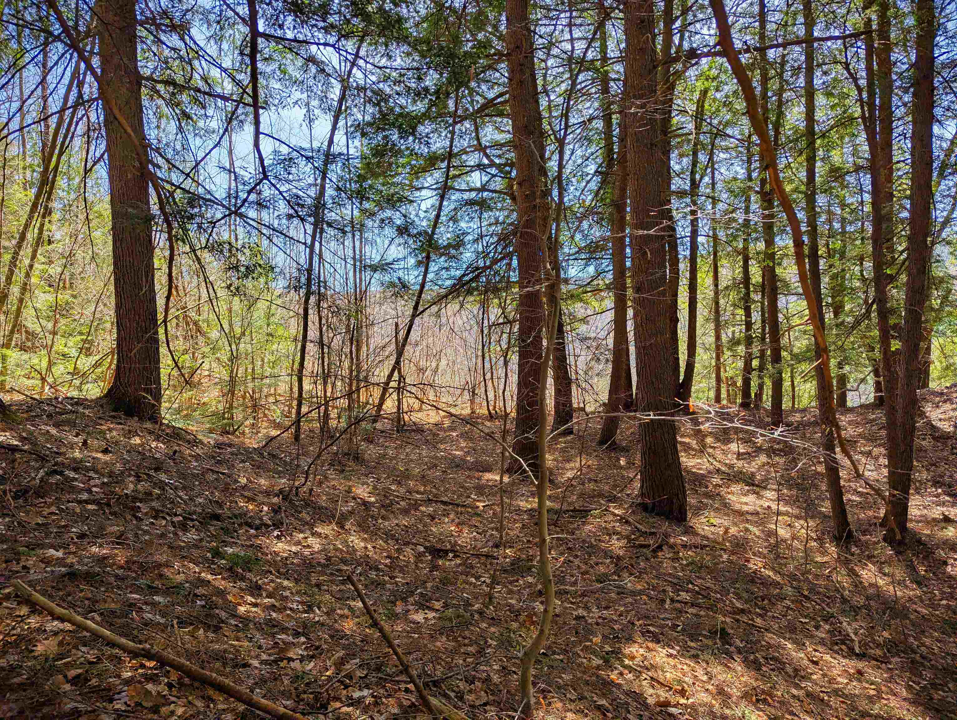 Vulture Mountain Road Property Photo 8