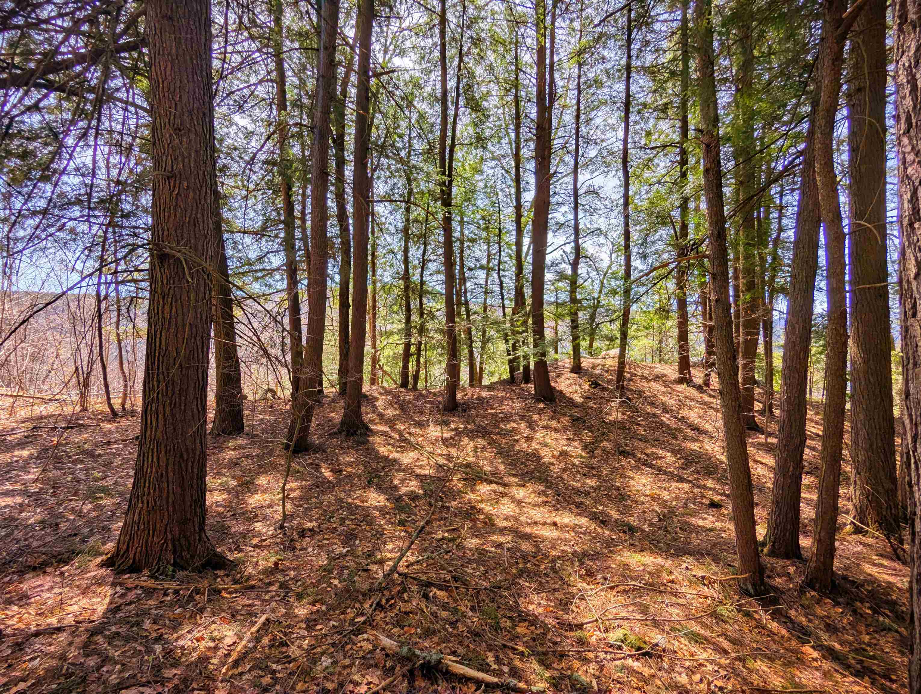 Vulture Mountain Road Property Photo 9