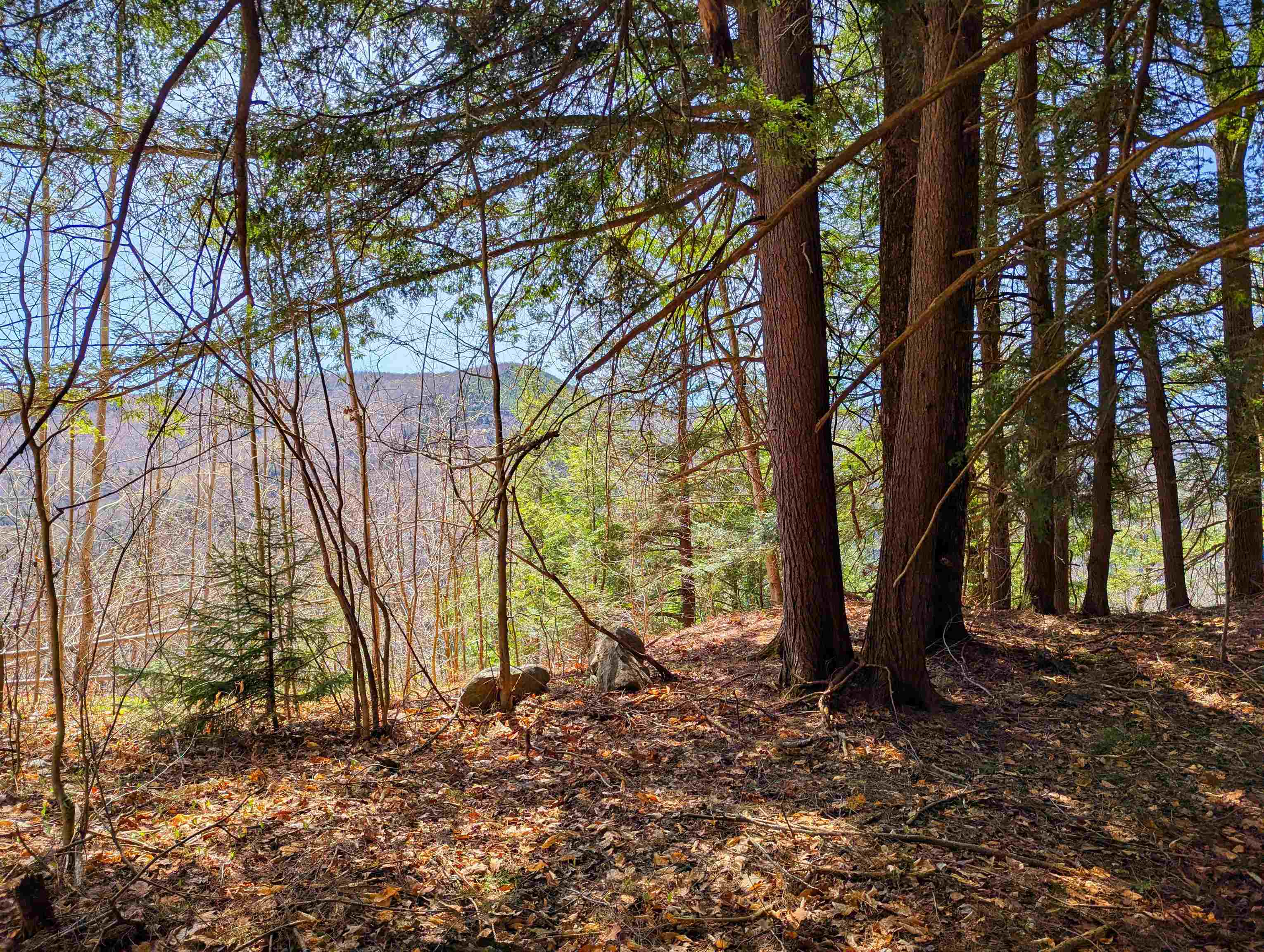 Vulture Mountain Road Property Photo 10