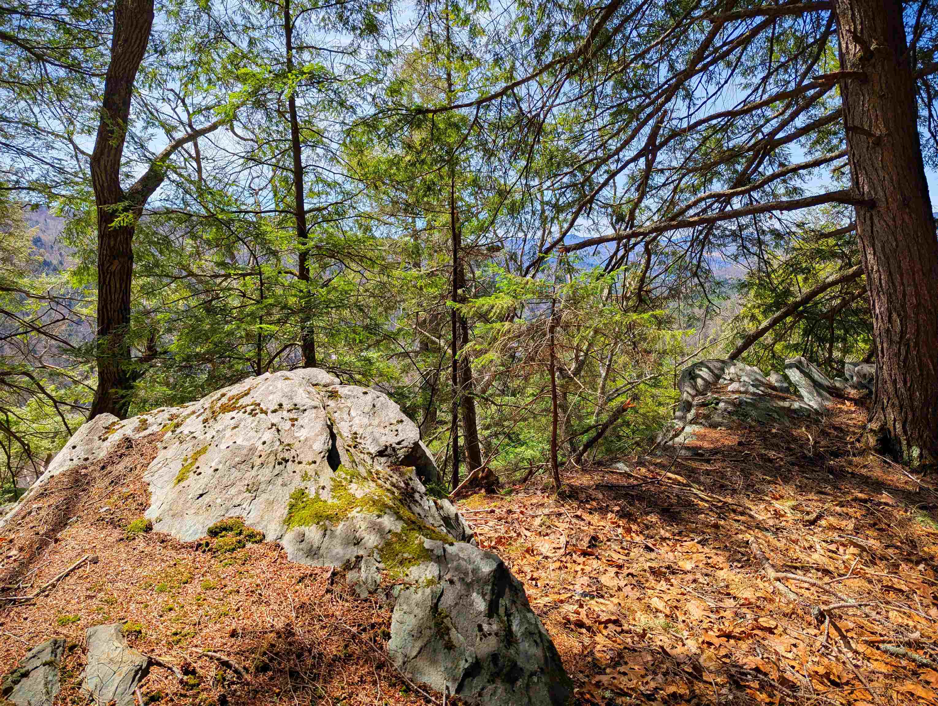 Vulture Mountain Road Property Photo 12