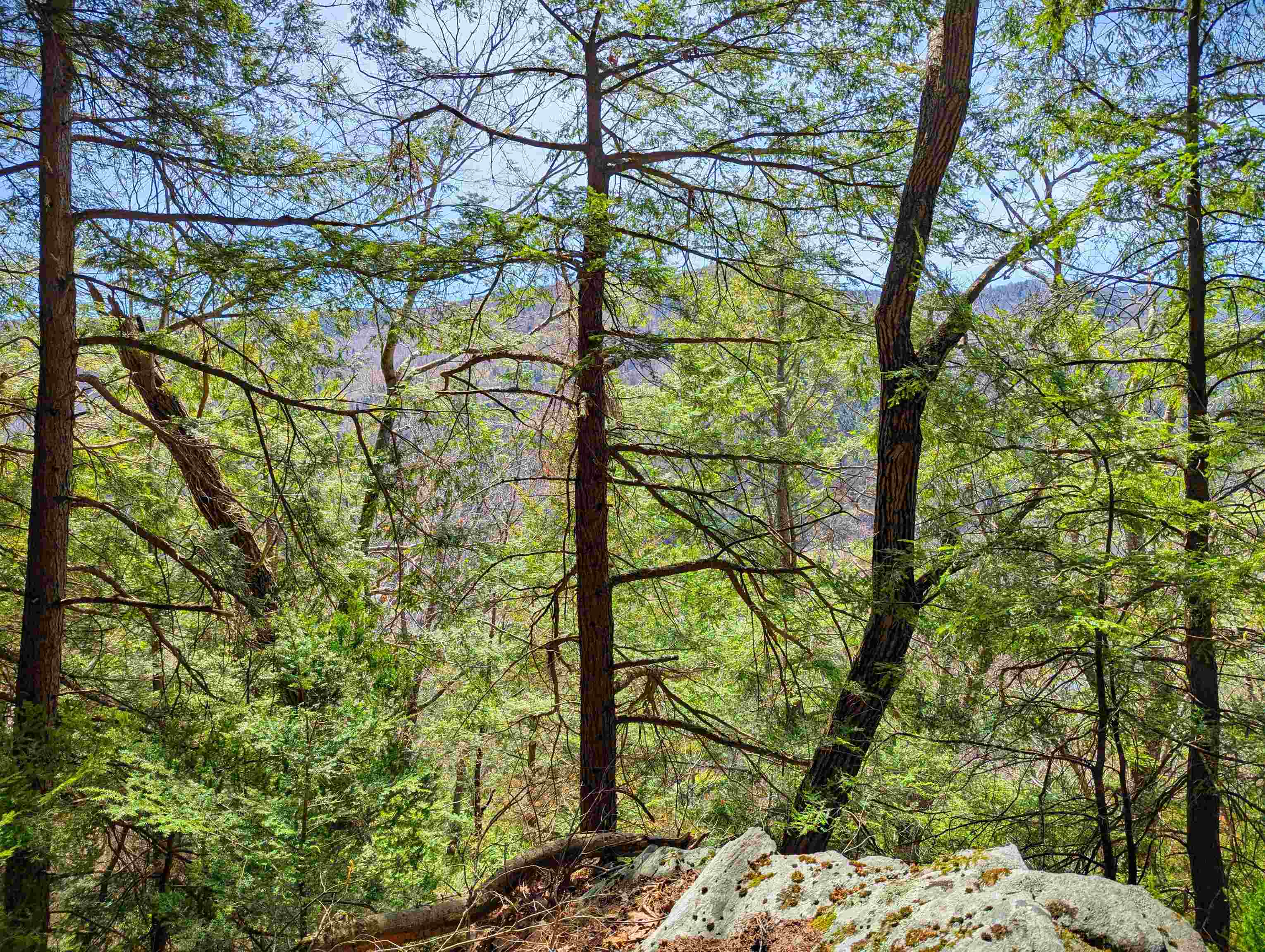 Vulture Mountain Road Property Photo 13