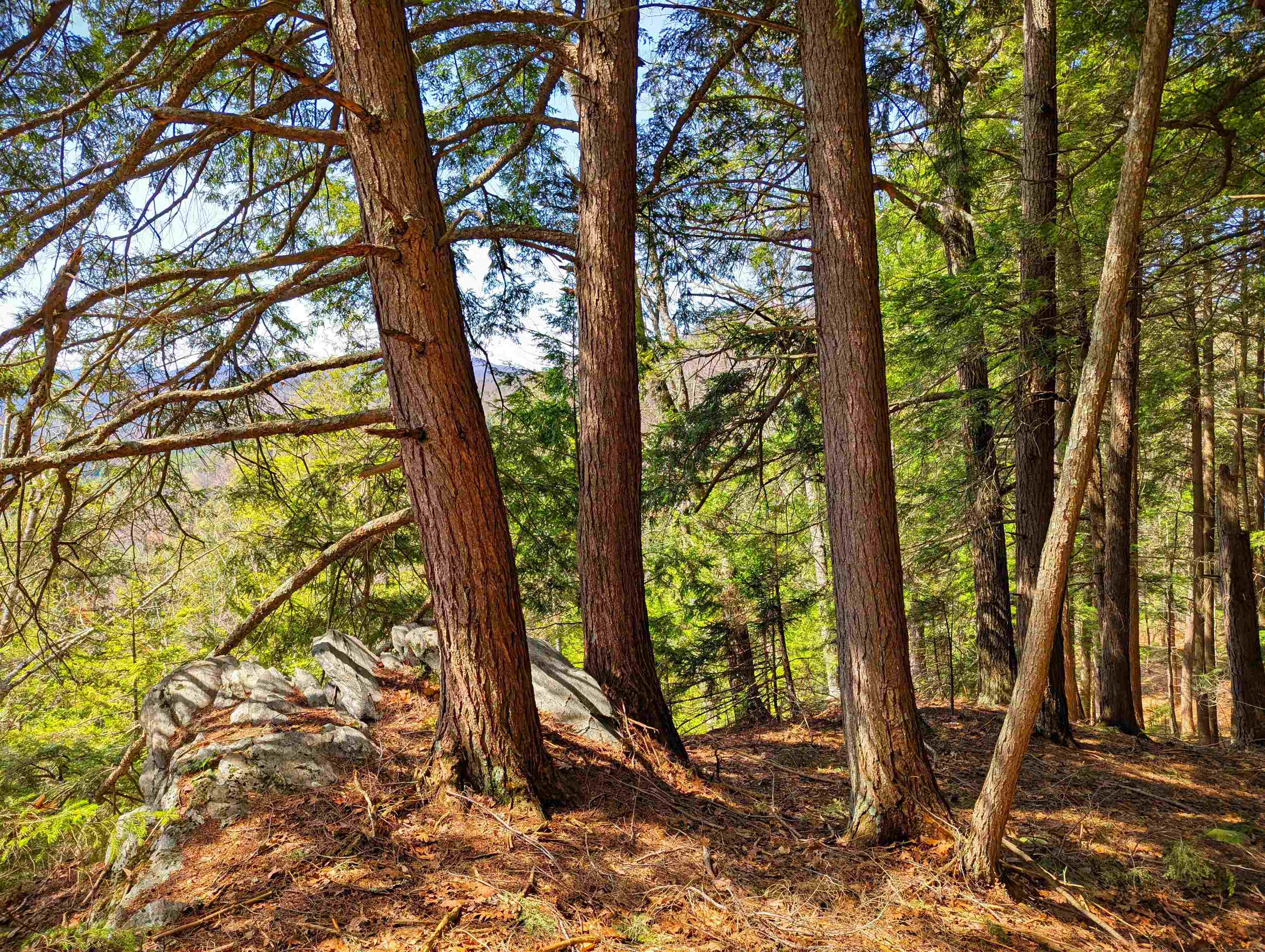 Vulture Mountain Road Property Photo 14