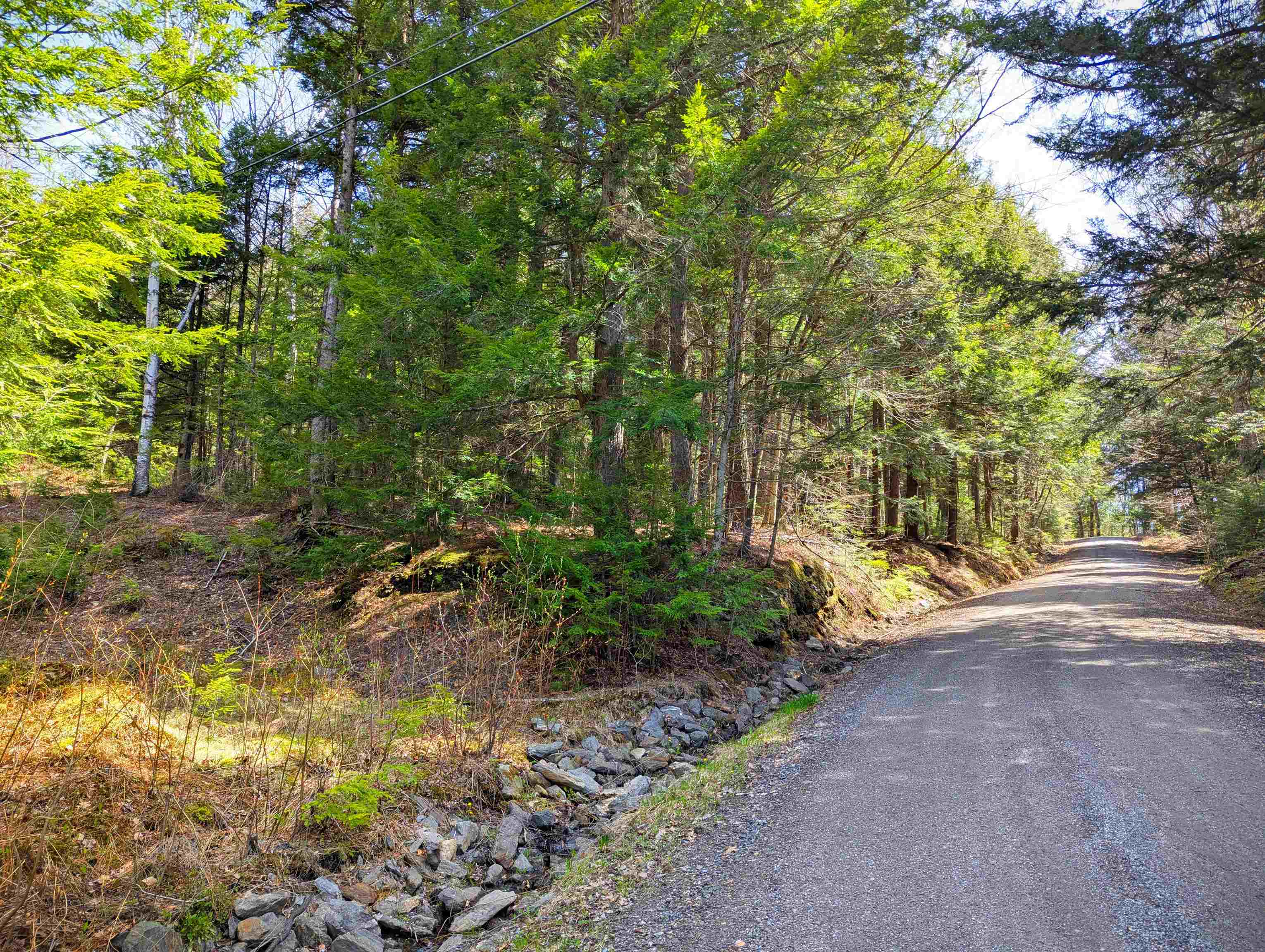Vulture Mountain Road Property Photo 16