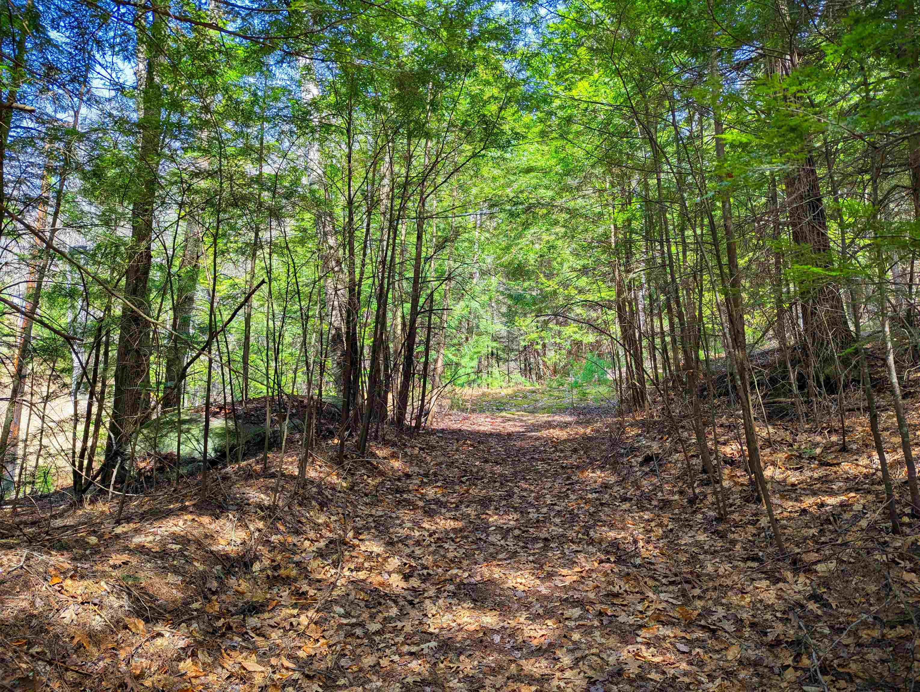Vulture Mountain Road Property Photo 17