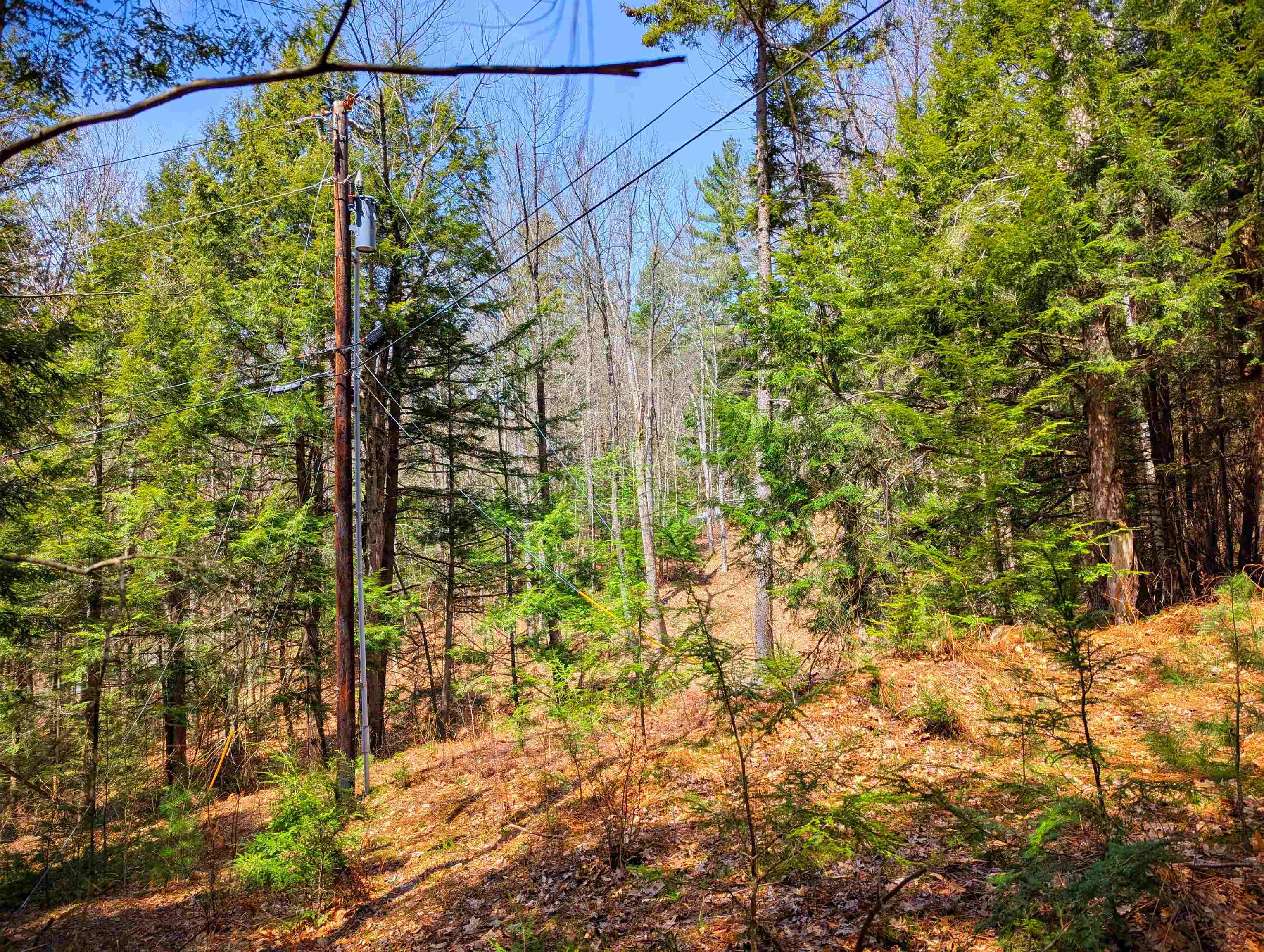 Vulture Mountain Road Property Photo 18