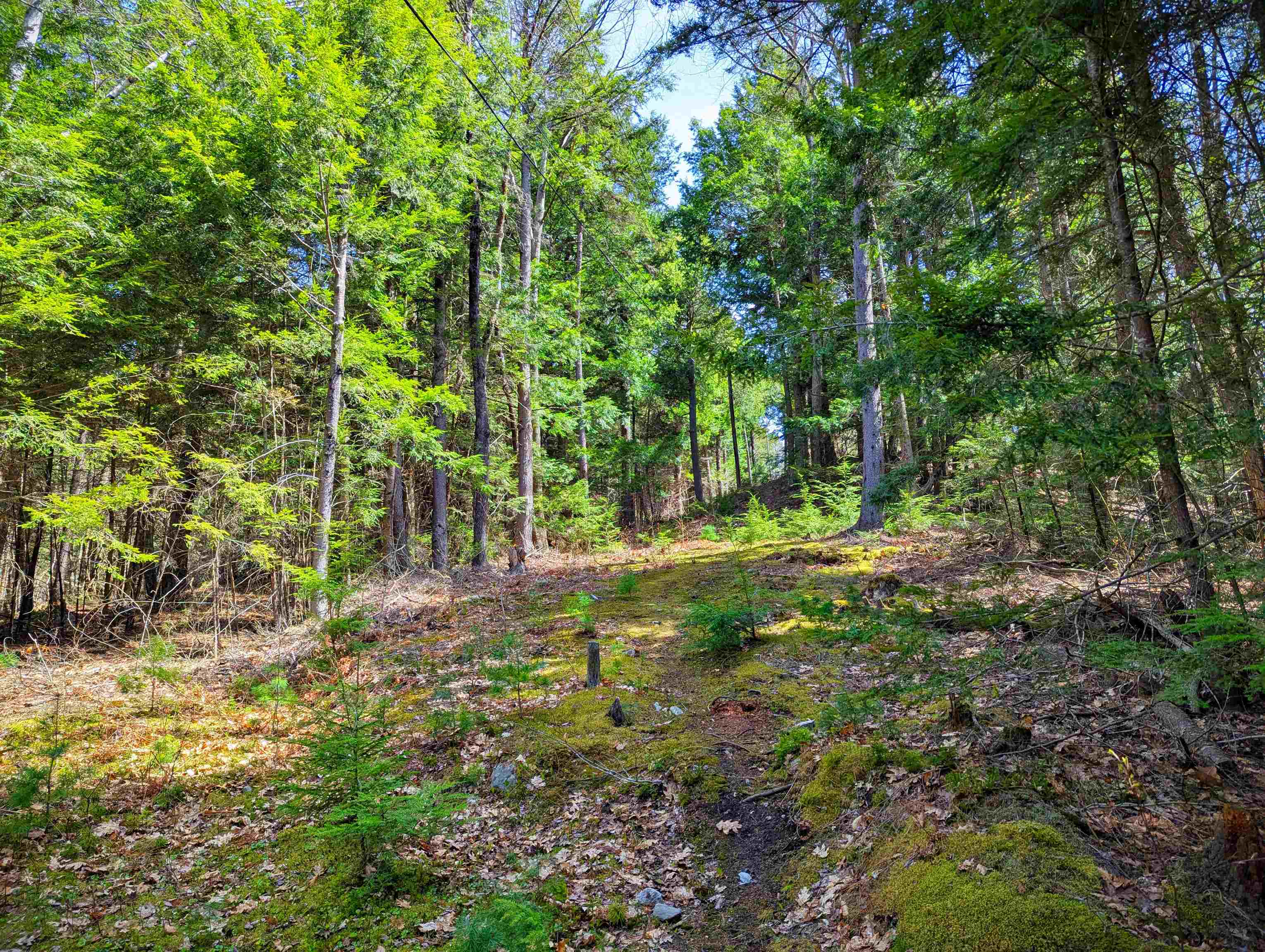 Vulture Mountain Road Property Photo 19