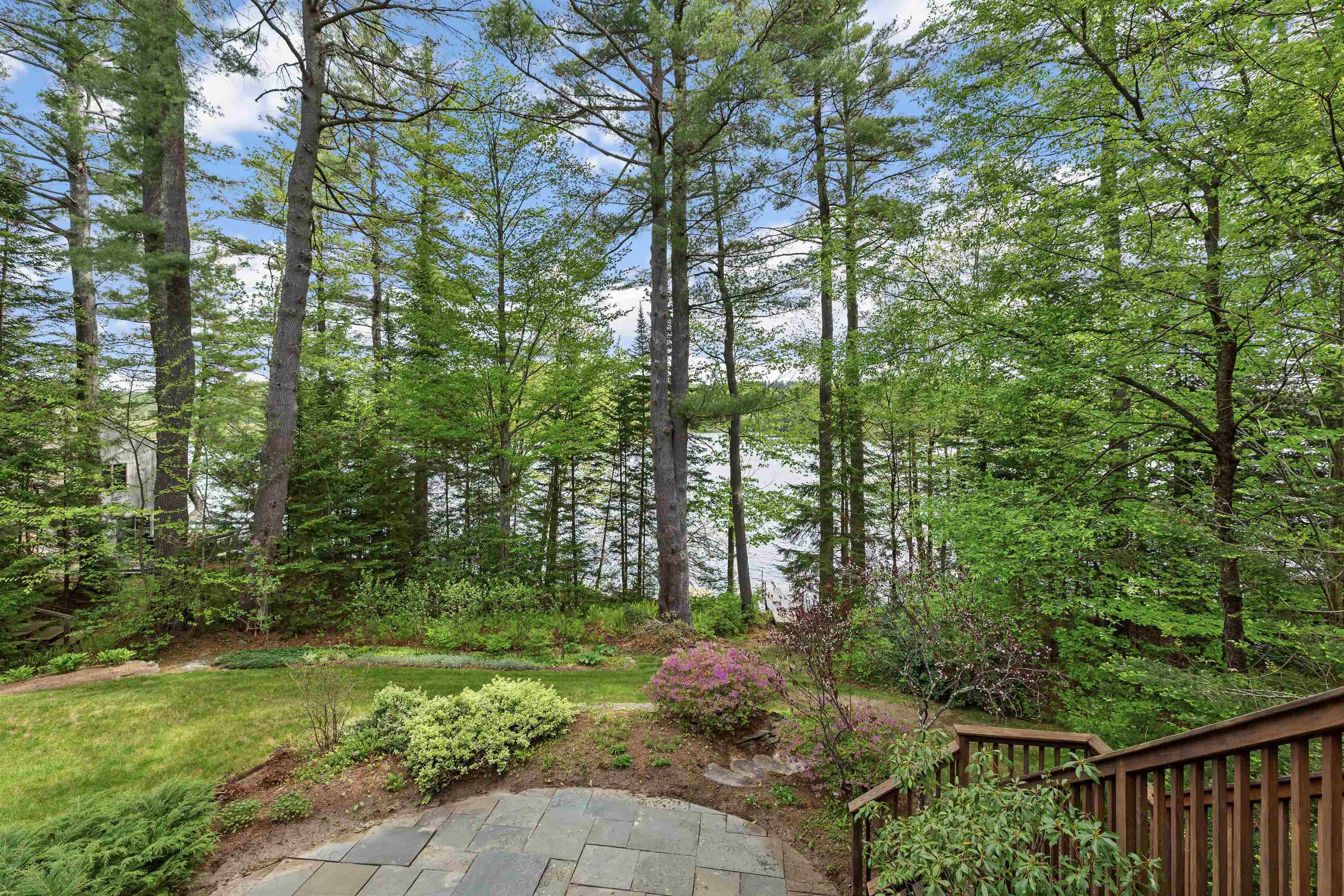 217 Forest Acres Road Property Photo 3