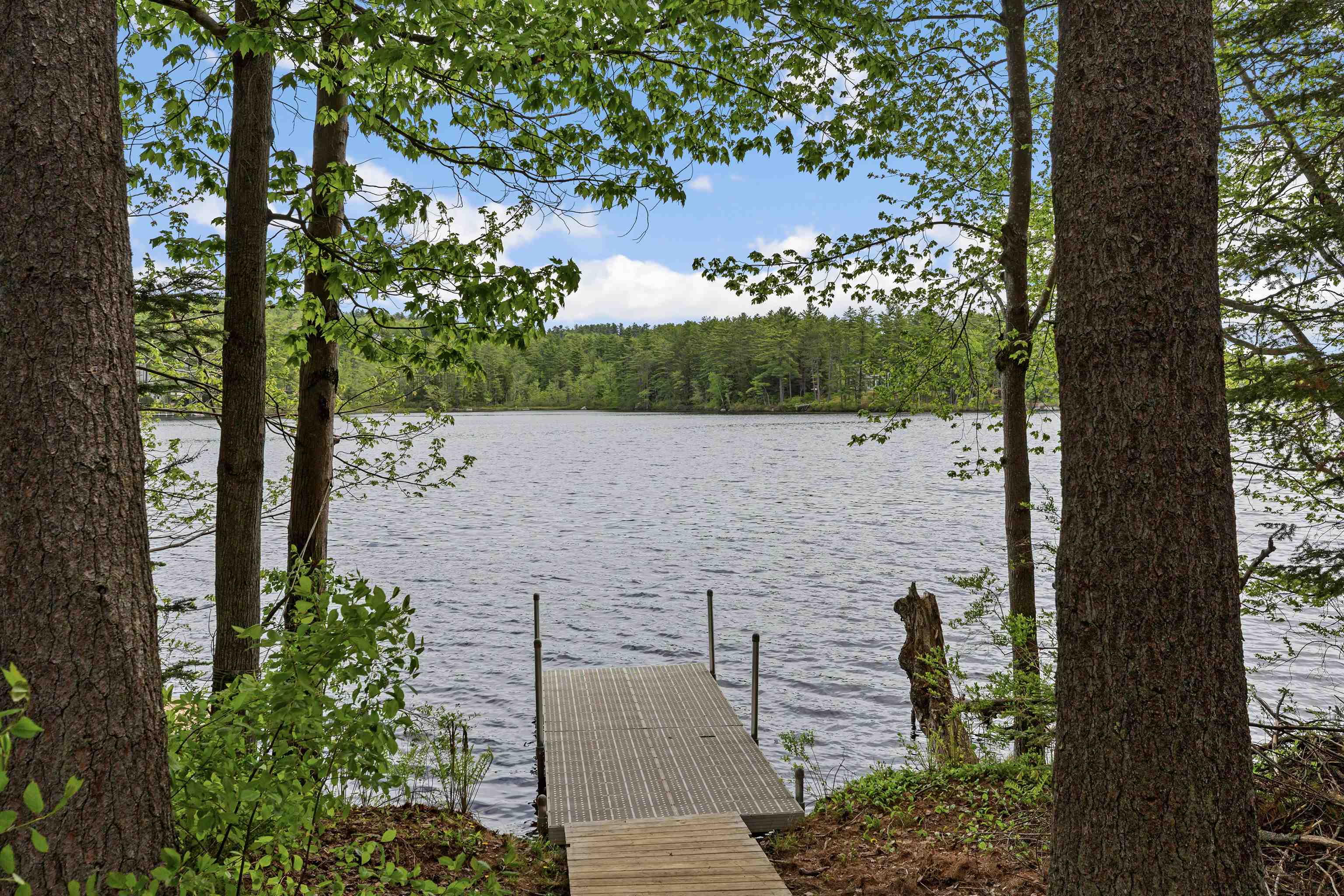 217 Forest Acres Road Property Photo 4