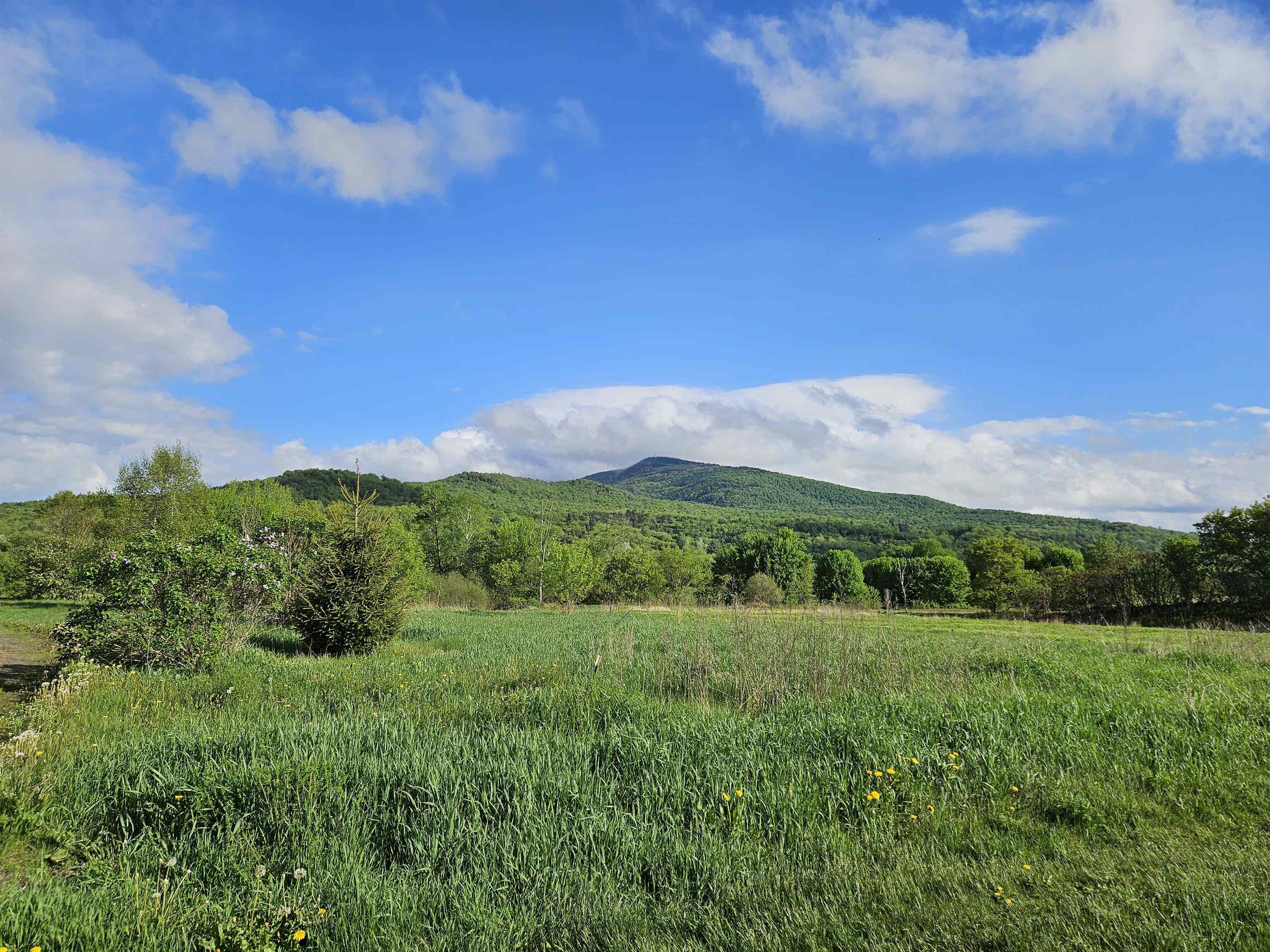 TBD Lot #3 Miller's Meadow Road