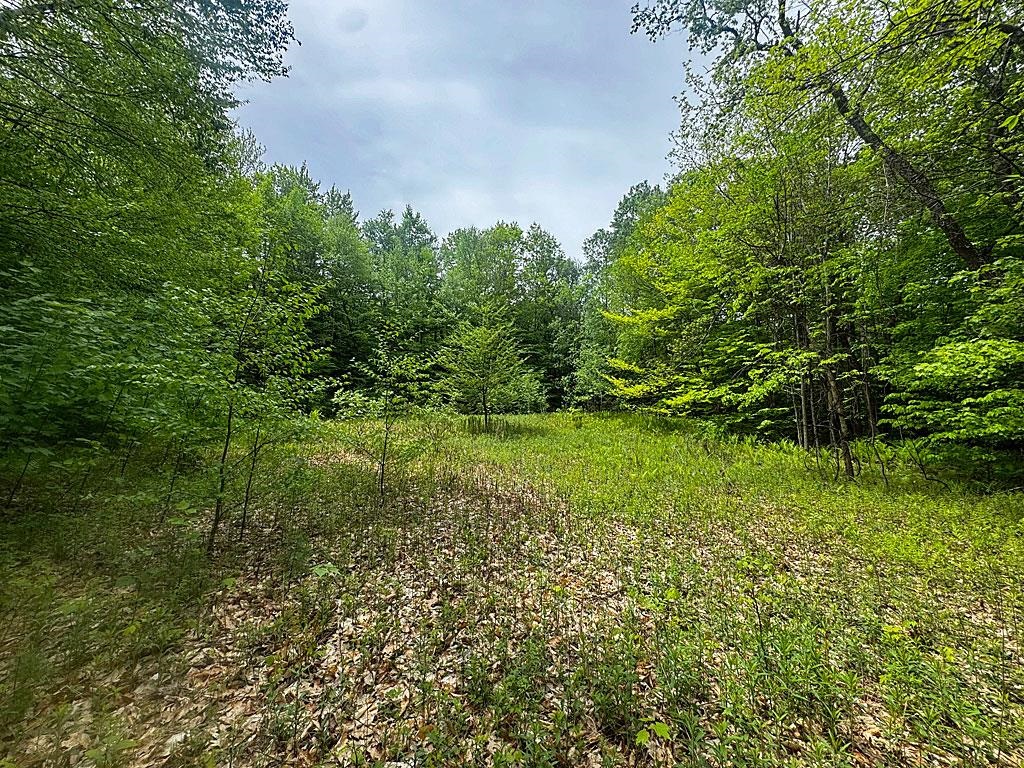 0 Spencer Meadows Property Photo 9