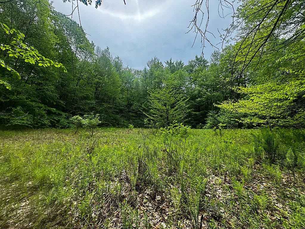 0 Spencer Meadows Property Photo 10