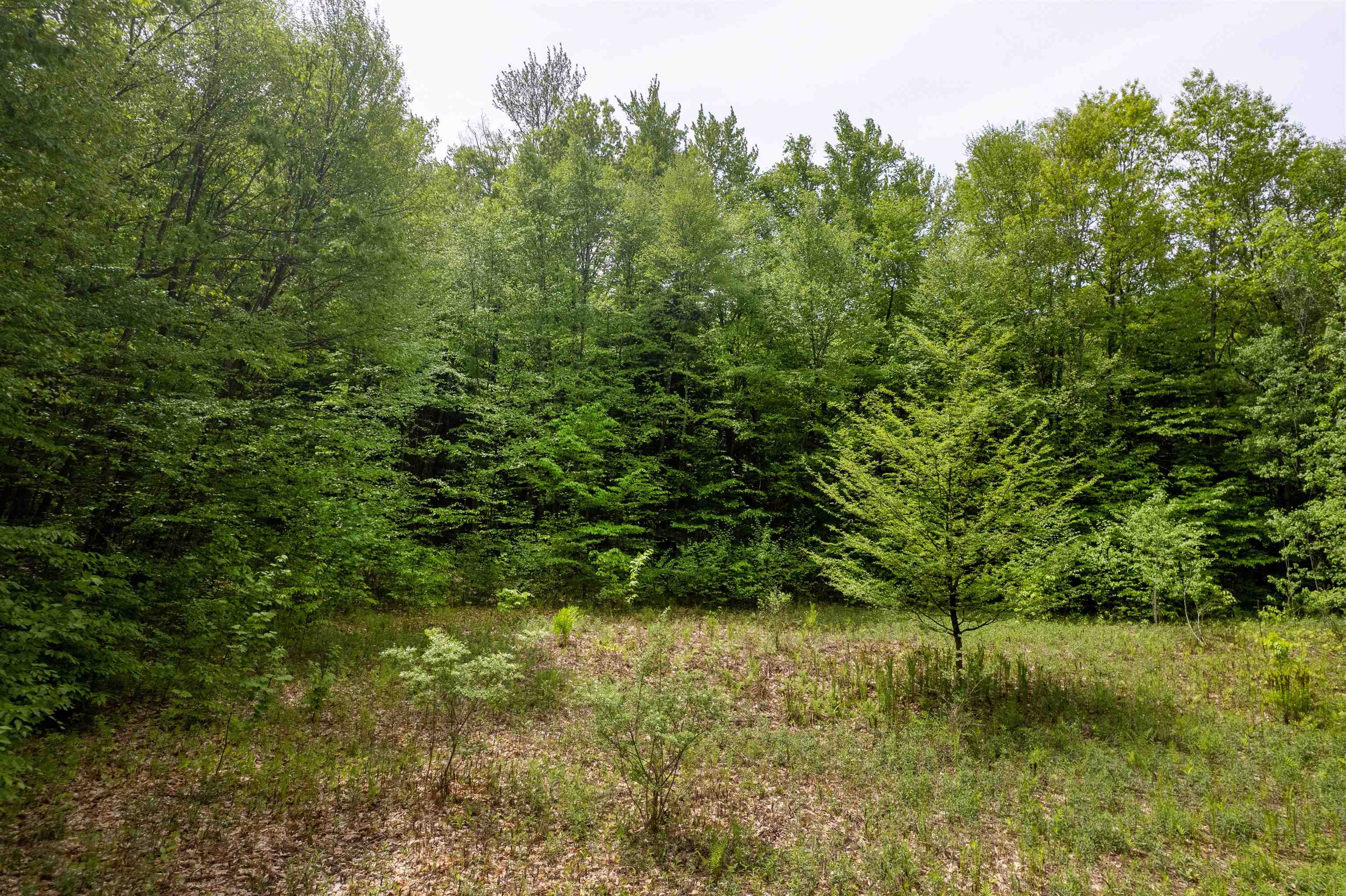 0 Spencer Meadows Property Photo 11