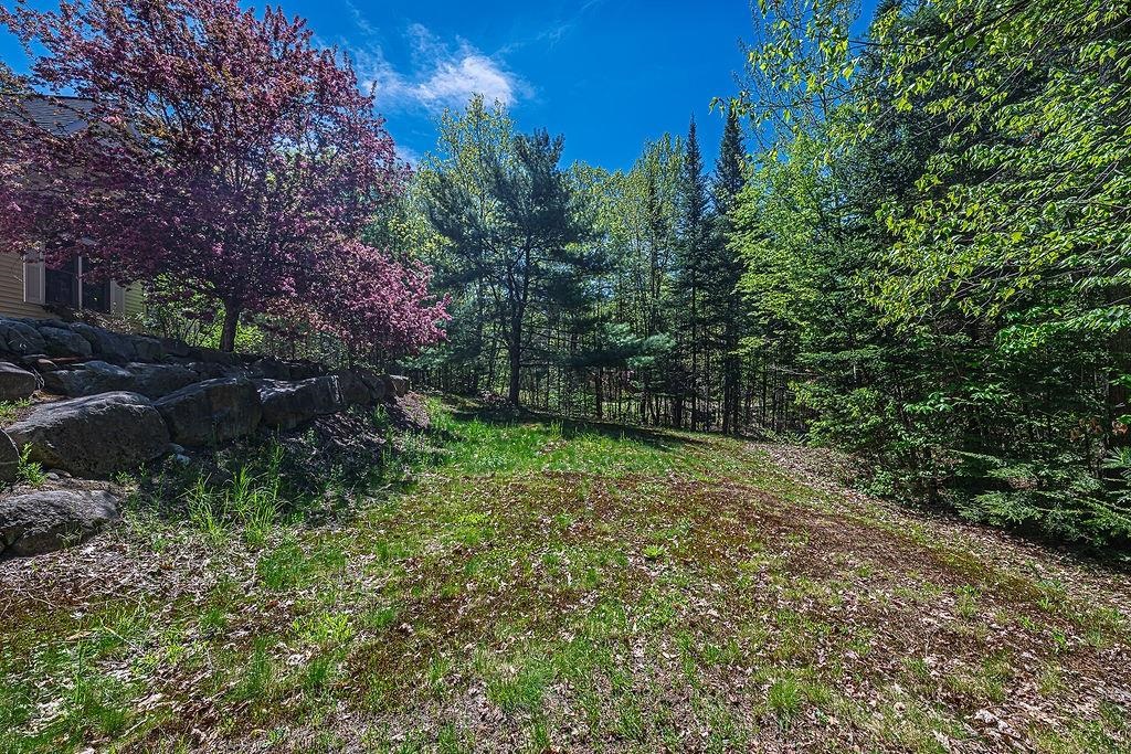 63 Olympia Street Property Photo 13