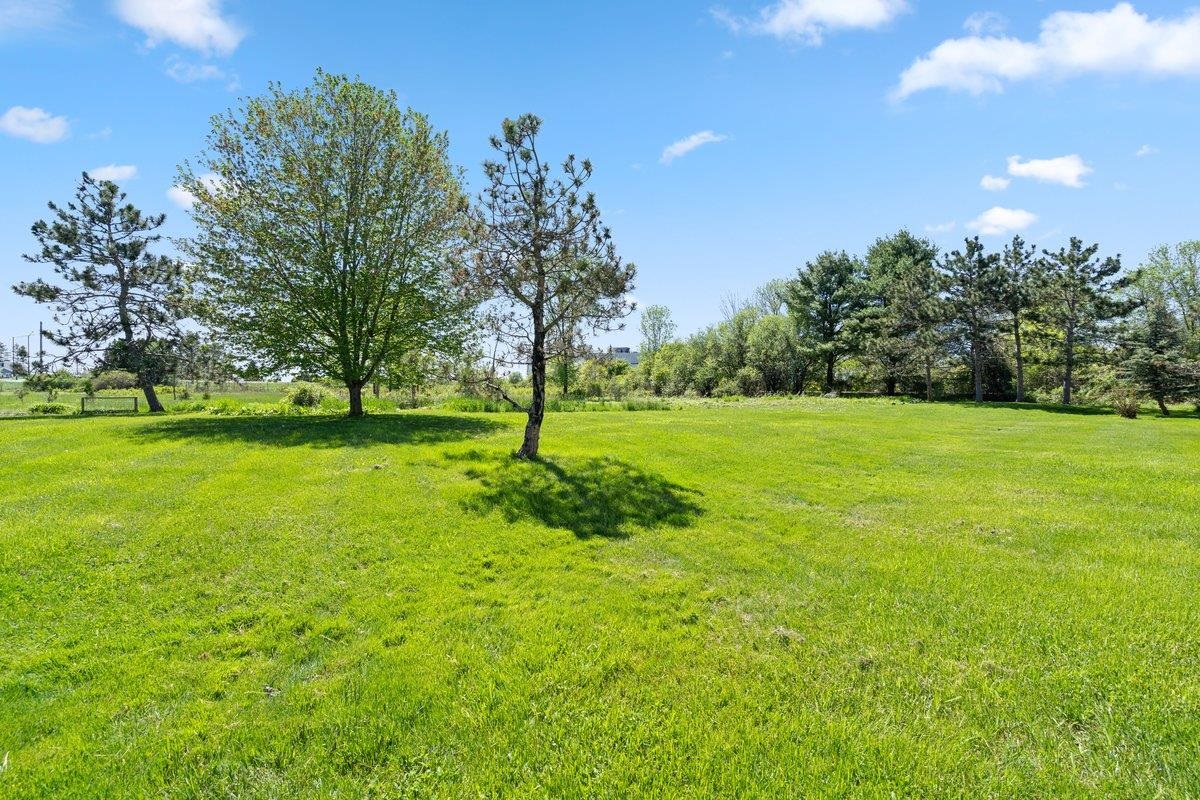 91 Saybrook Road Property Photo 35