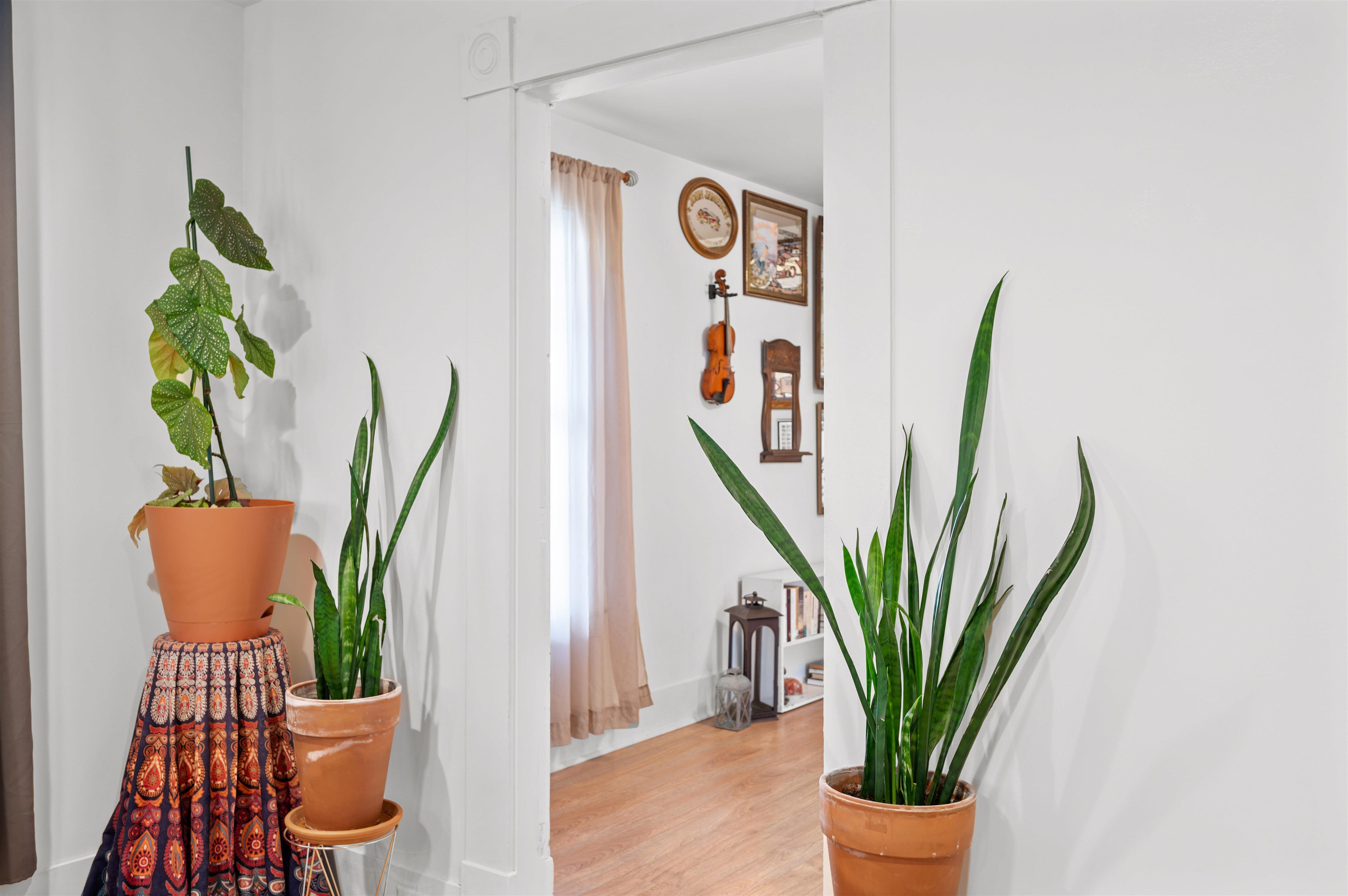 5 King Street Property Photo 20