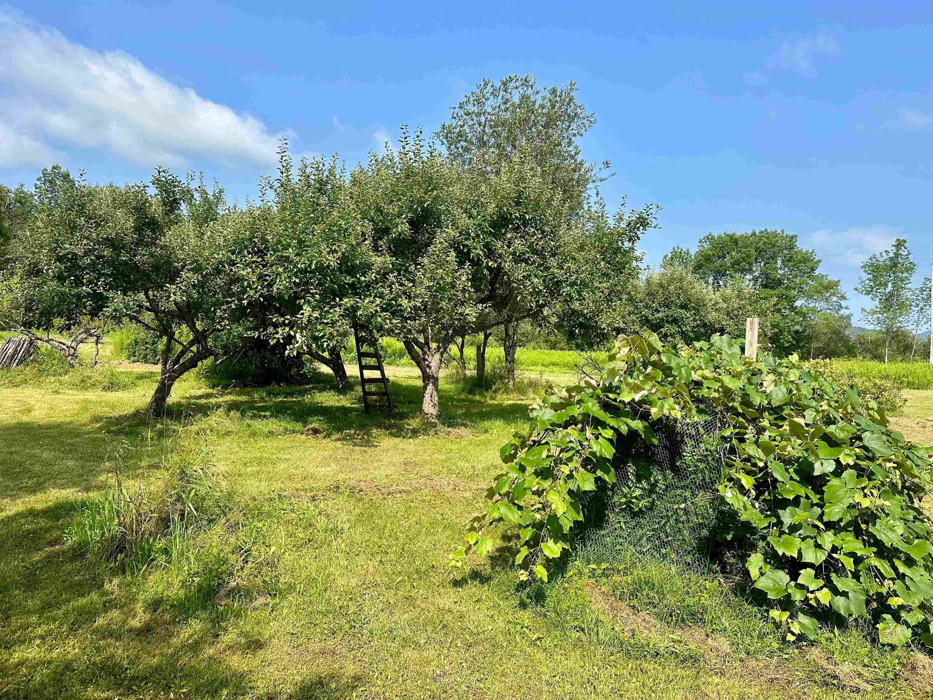 209 Kelley Hill Road Property Photo 10