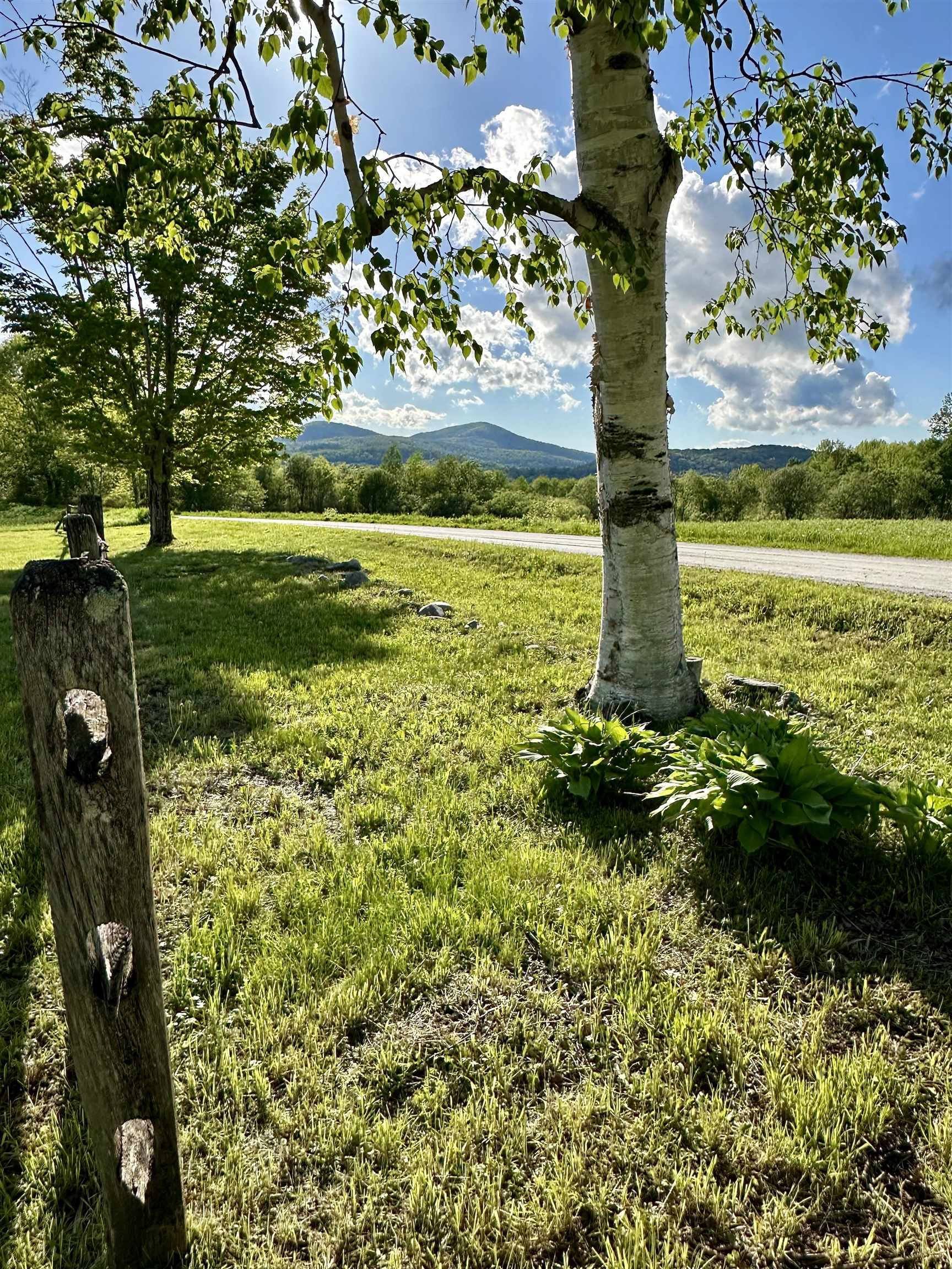 209 Kelley Hill Road Property Photo 18