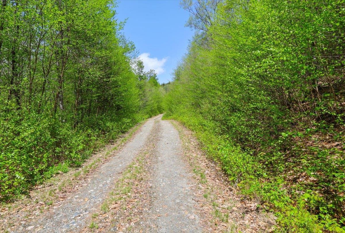 0 Mud Pond Pass Property Photo 2