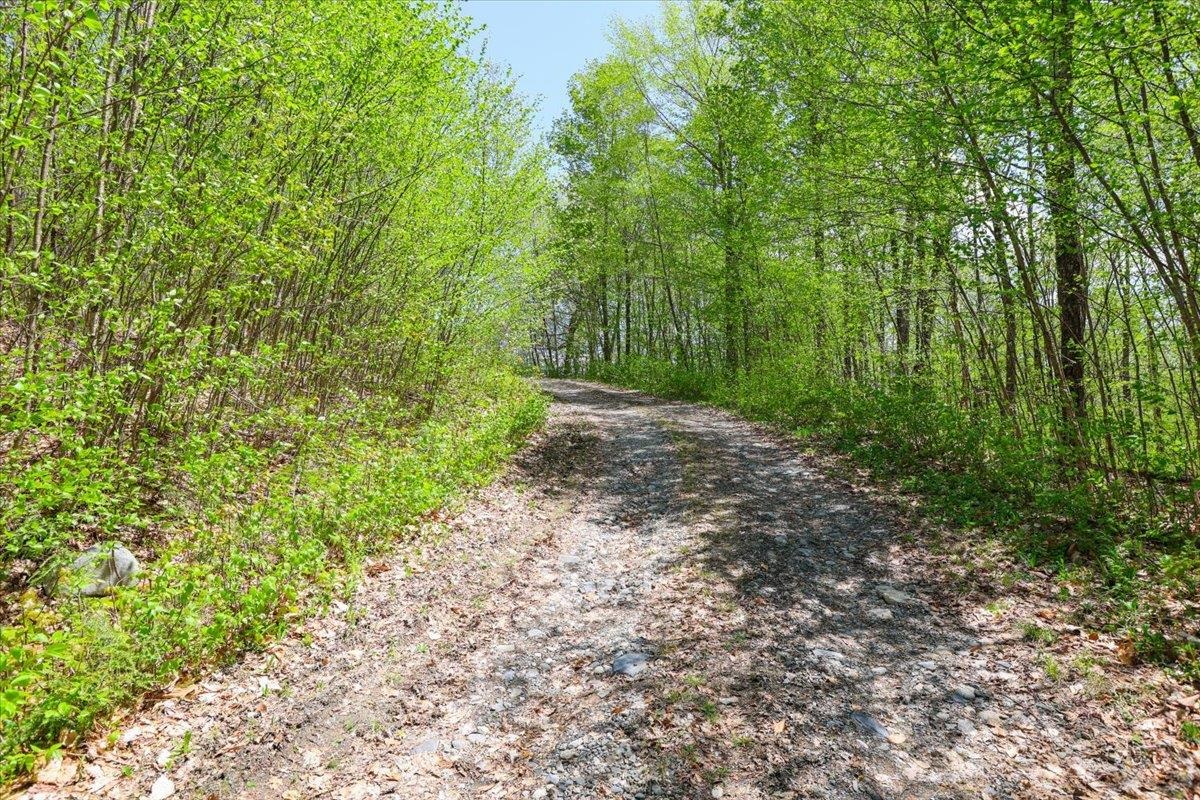 0 Mud Pond Pass Property Photo 4